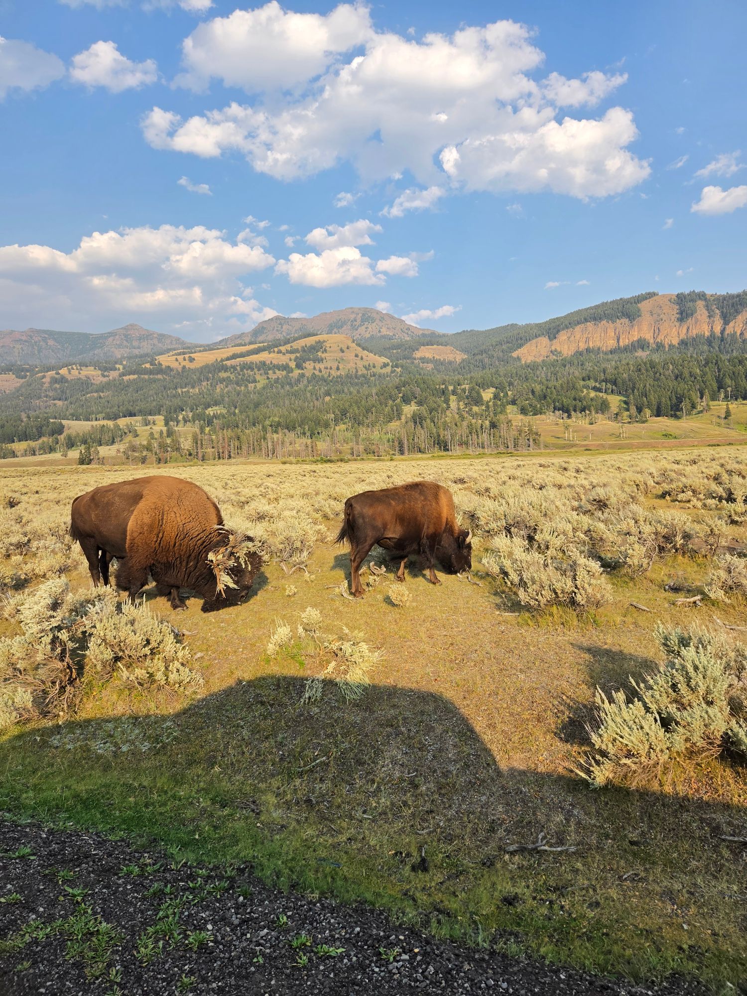 Kaylee Nora Rose Toth Discovers the Epic, Untamed Beauty of Yellowstone National Park — United States