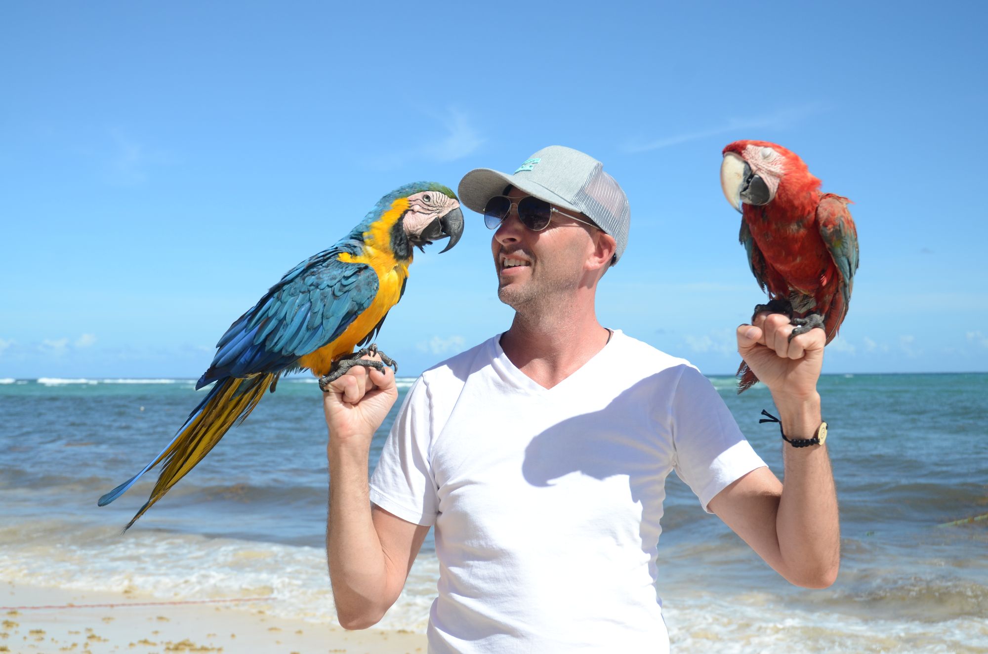 Why Travel Advisor Paul Birch Returns to the Dominican Republic Every Winter — And What He Found at Majestic Mirage in Punta Cana