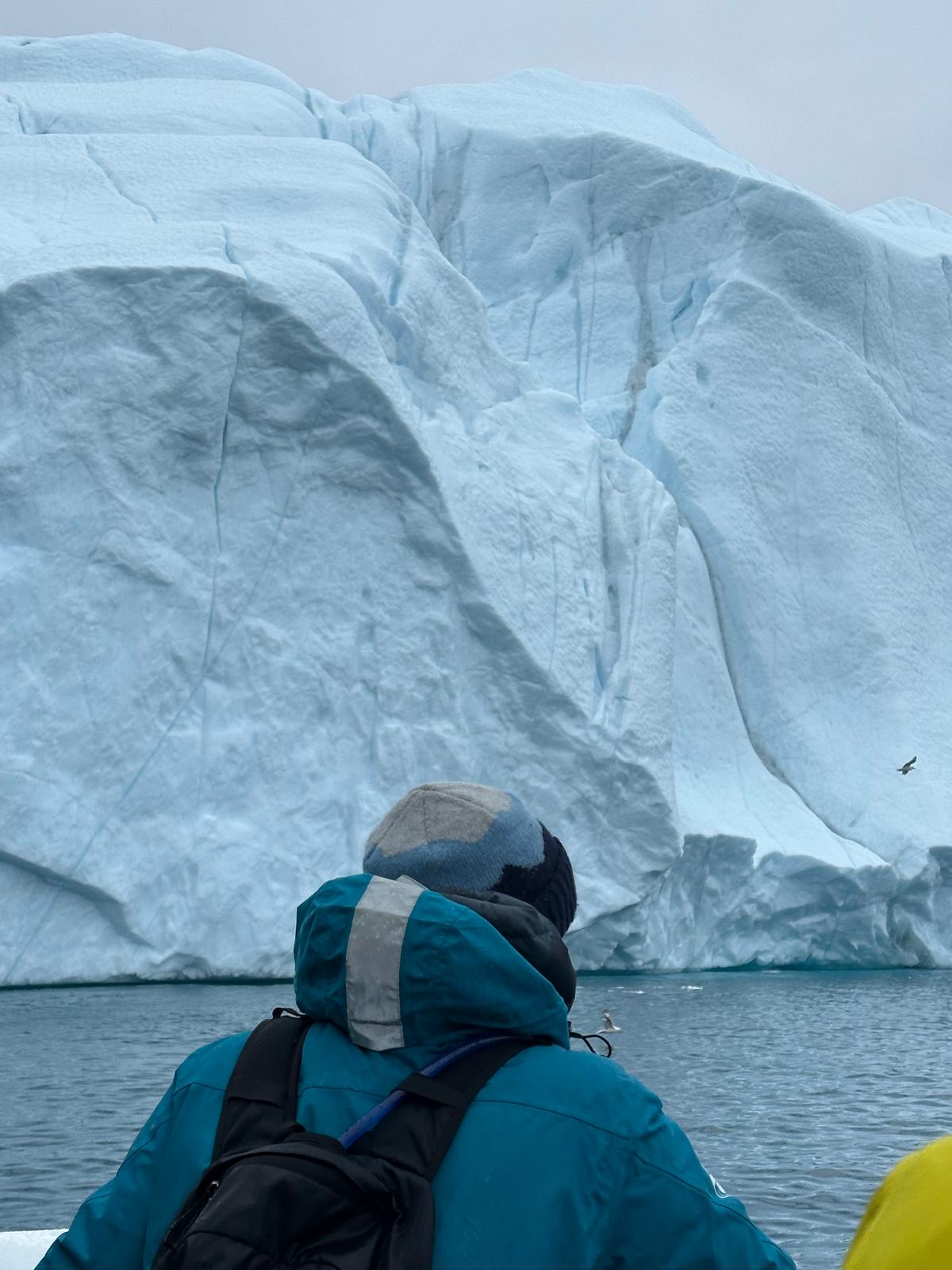 A person in a blue jacket views a massive white glacier face from a small boat on turquoise water