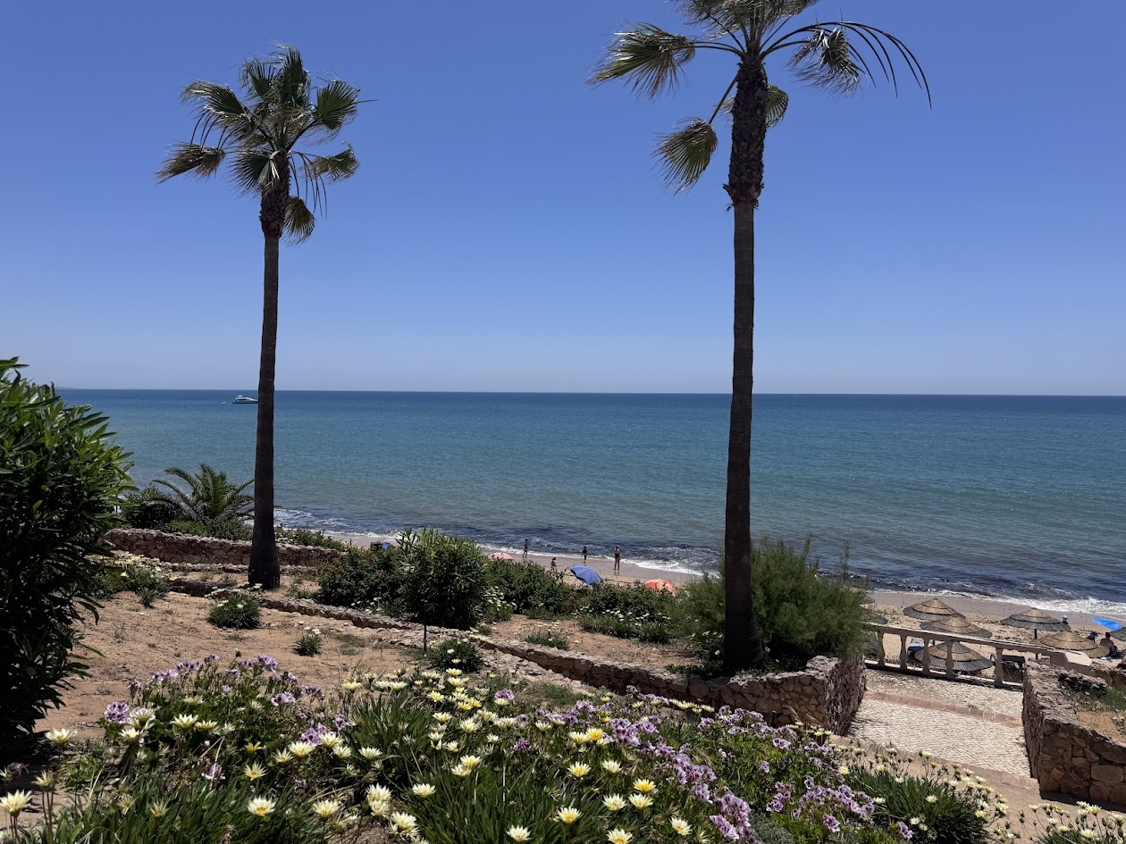 Two palm trees frame a sandy beach and calm turquoise Mediterranean sea under clear blue sky