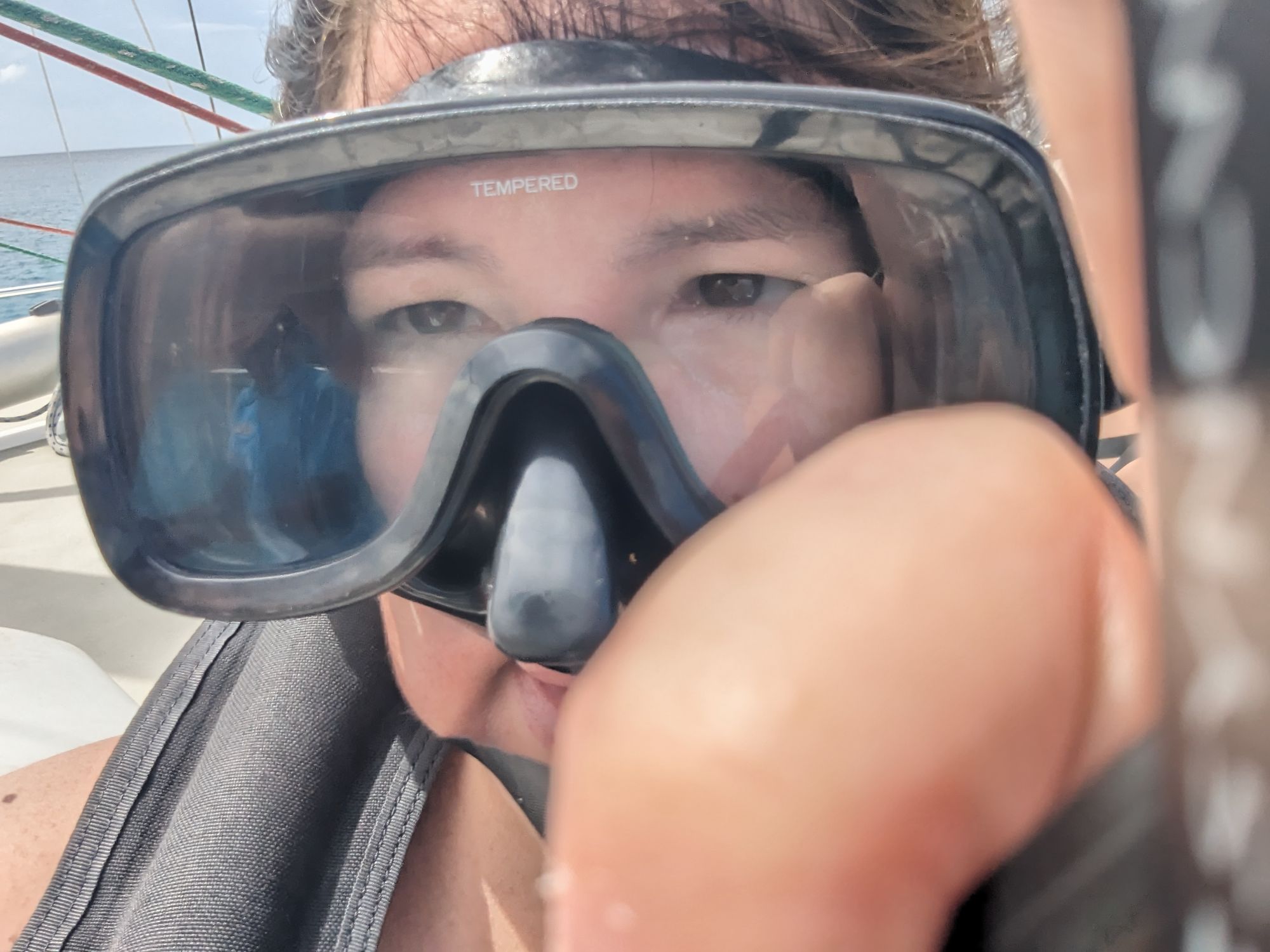 Angela Porcellato Has Been to Barbados Several Times. The East Coast Changed Everything. — Barbados