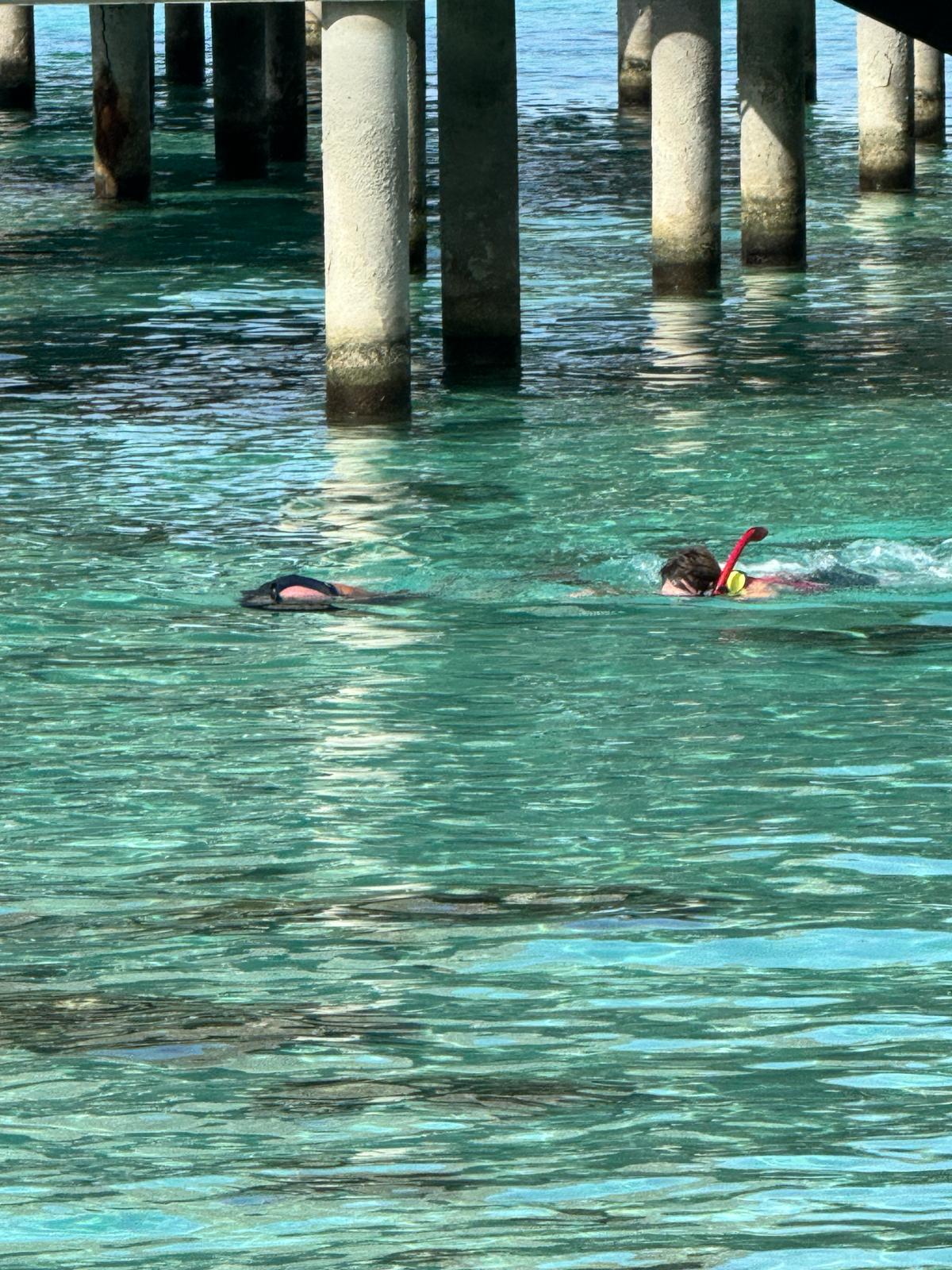 Snorkeler in red snorkel gear swimming near pier pilings in turquoise water