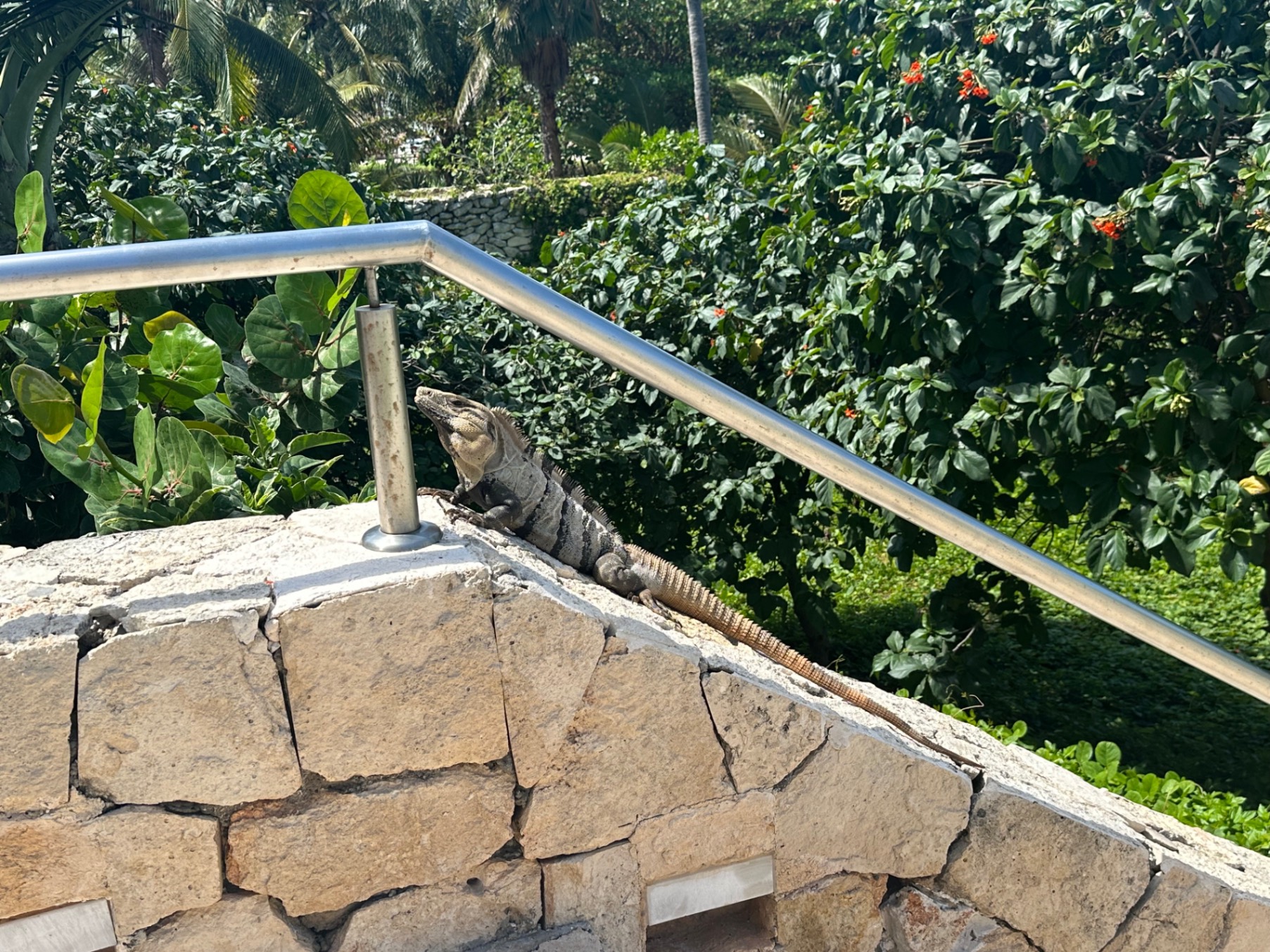 Mexico — Christy  Webster's travel story