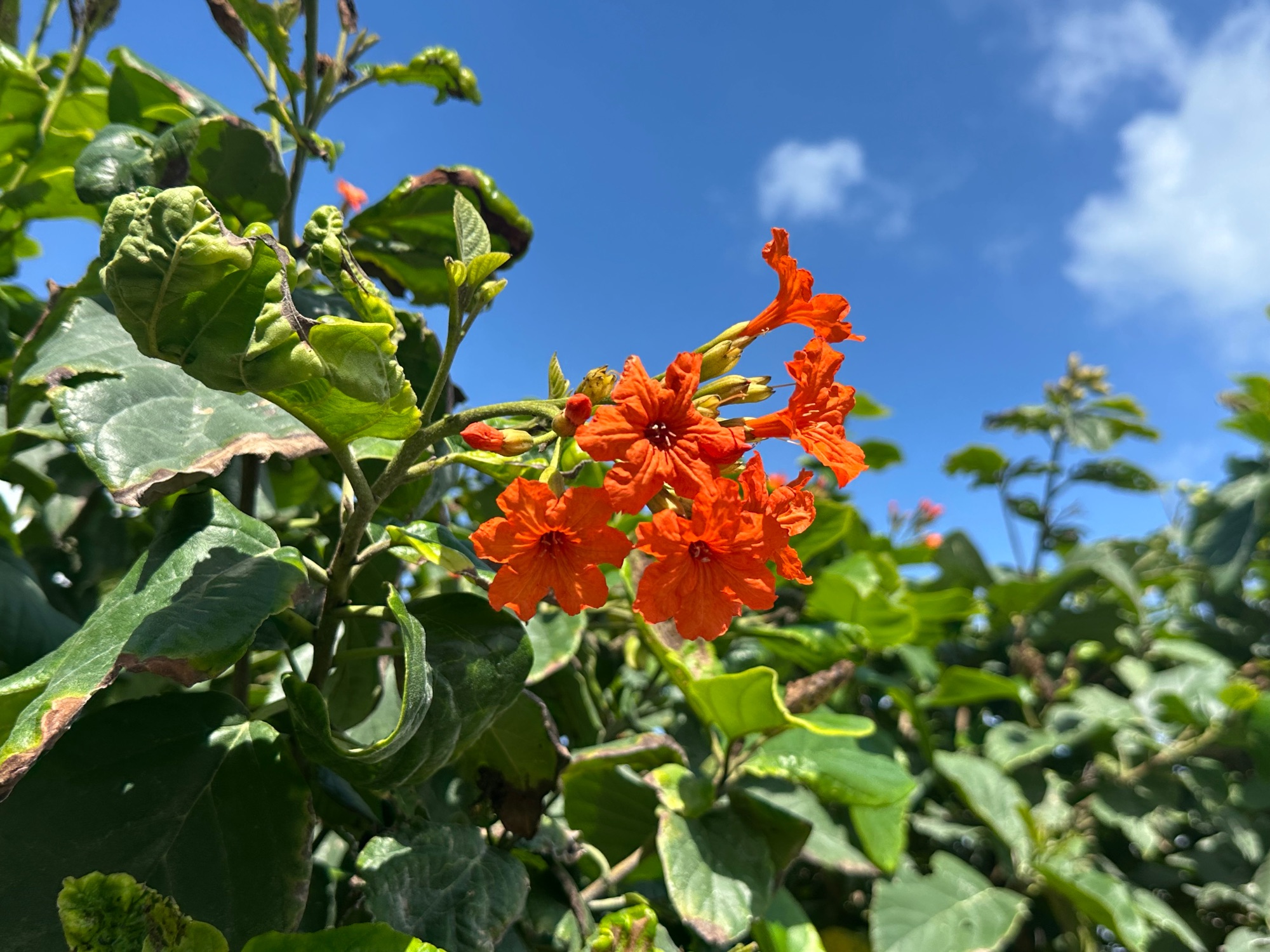 Mexico — Christy  Webster's travel story