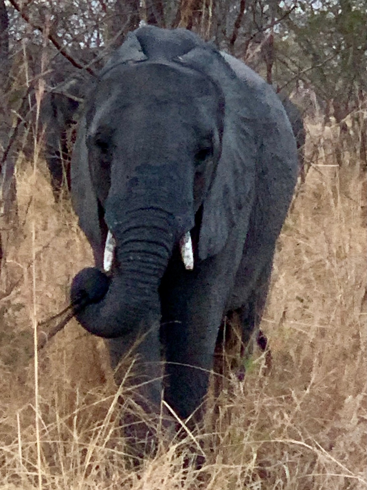 Terry Declare and woman smile in front of safari vehicle at Kruger Park entrance
