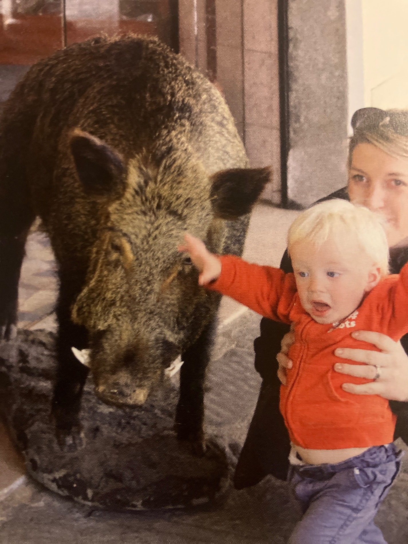 Italy — Cathy Scott's travel story