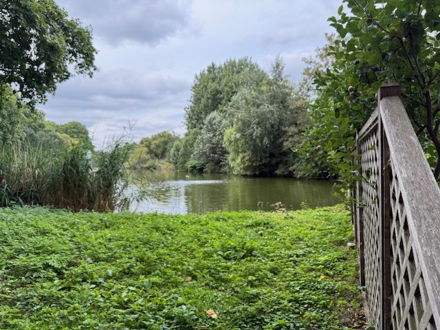 A peaceful river scene with lush green vegetation and trees reflected in calm water