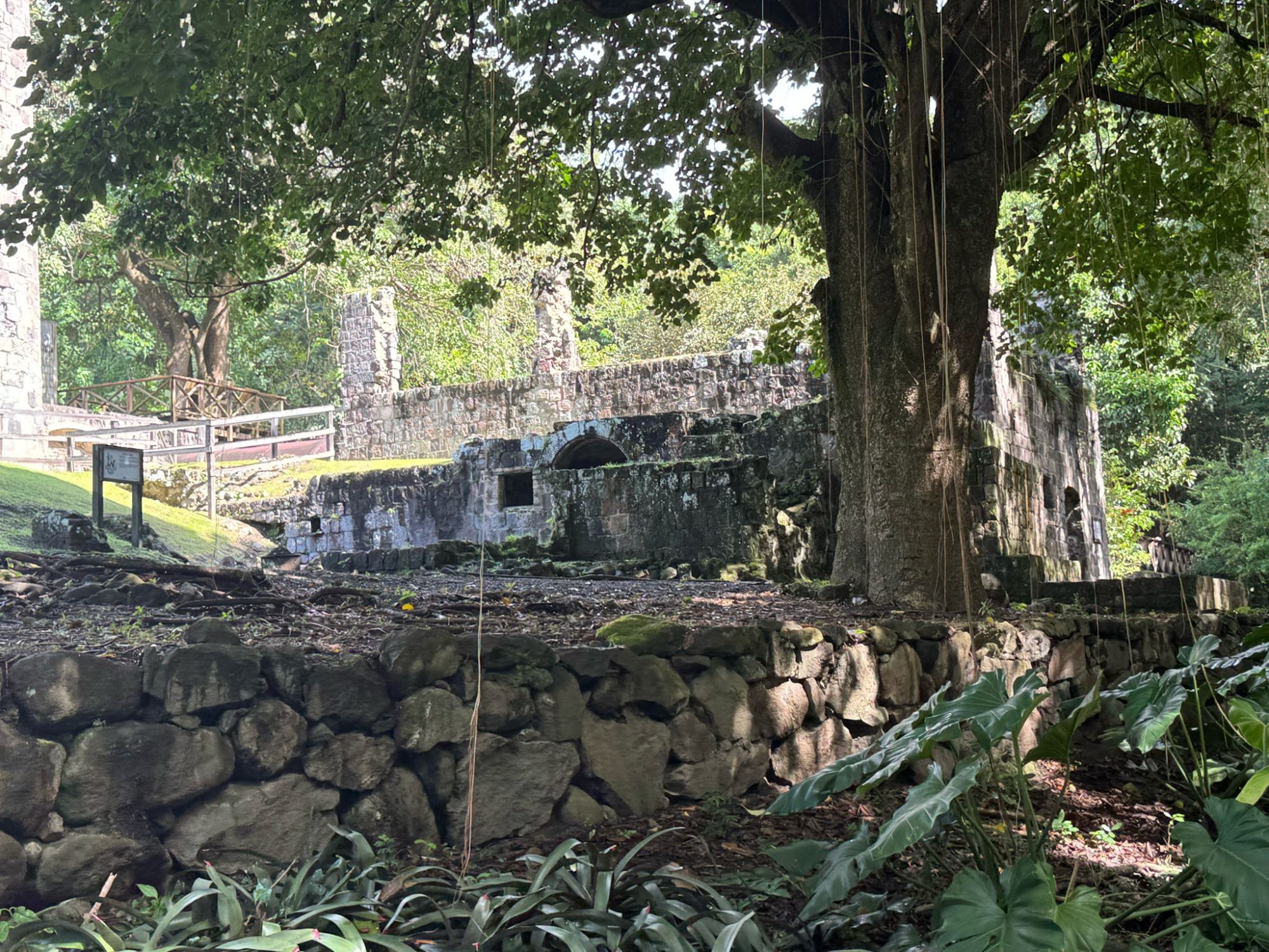 Saint Kitts and Nevis — Amanda Swan's travel story