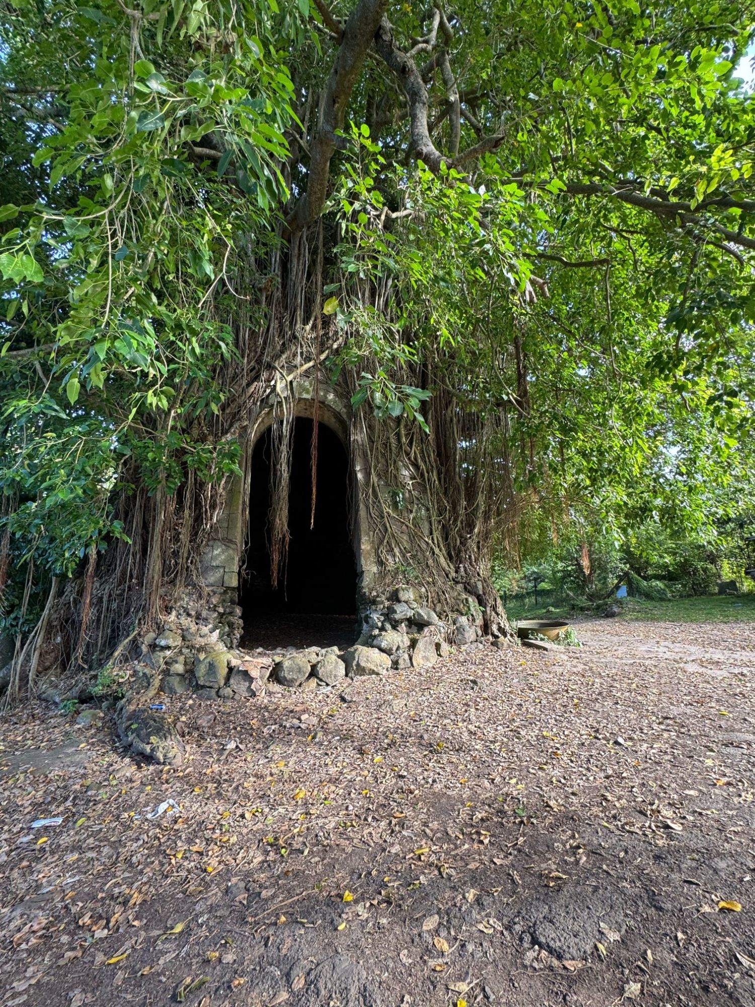 Saint Kitts and Nevis — Amanda Swan's travel story