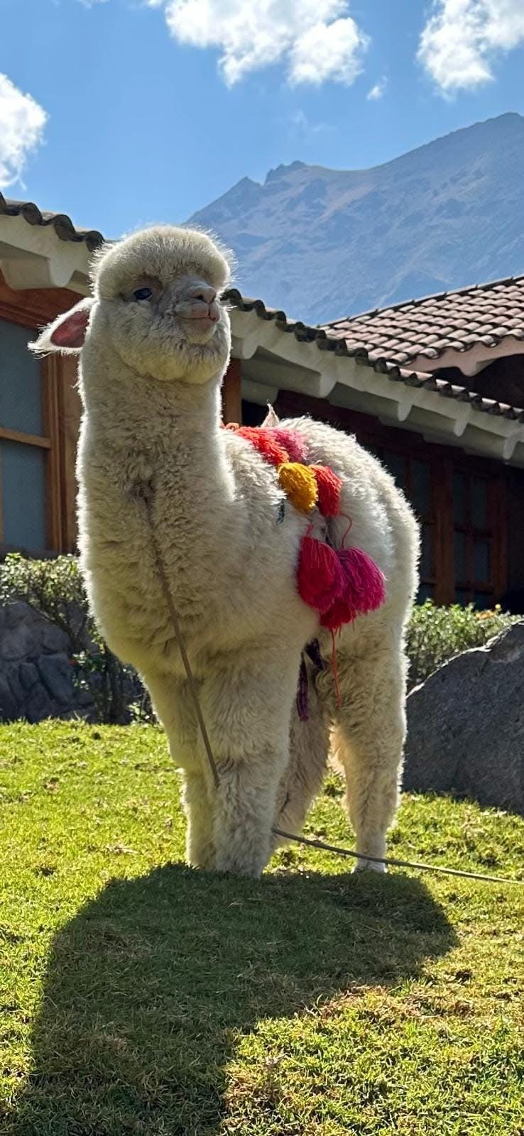 Peru — Jessica Samaroo's travel story