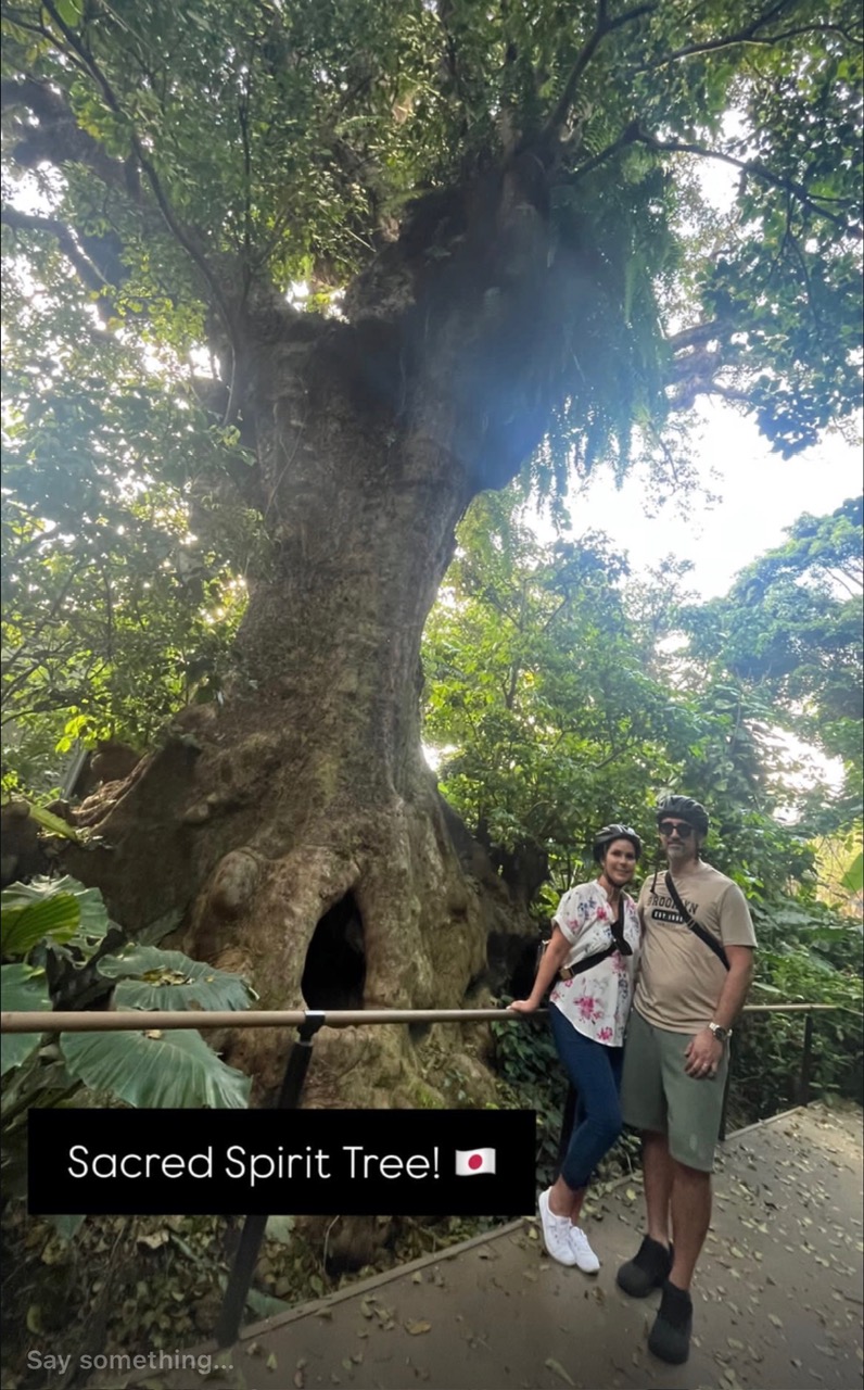 Japan — Misti Garcia's travel story
