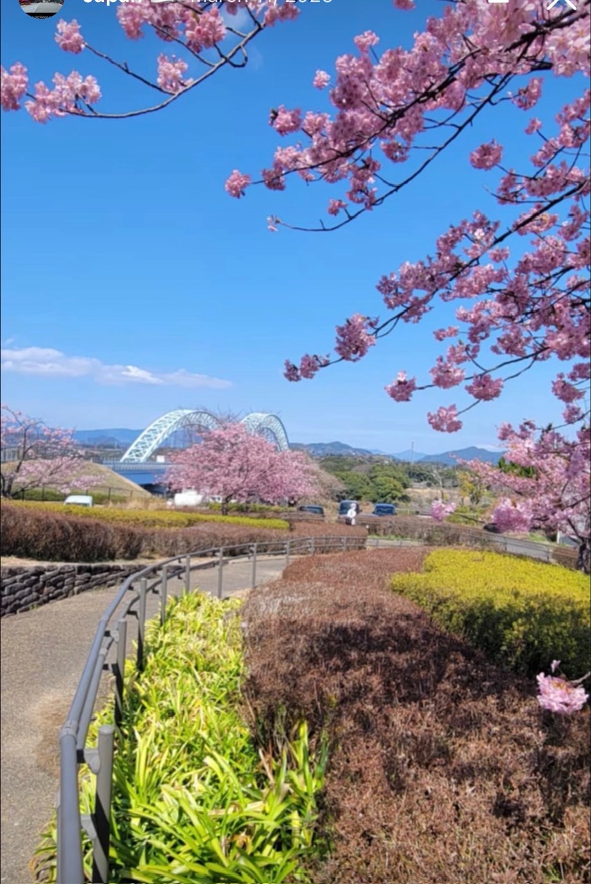 Japan — Misti Garcia's travel story