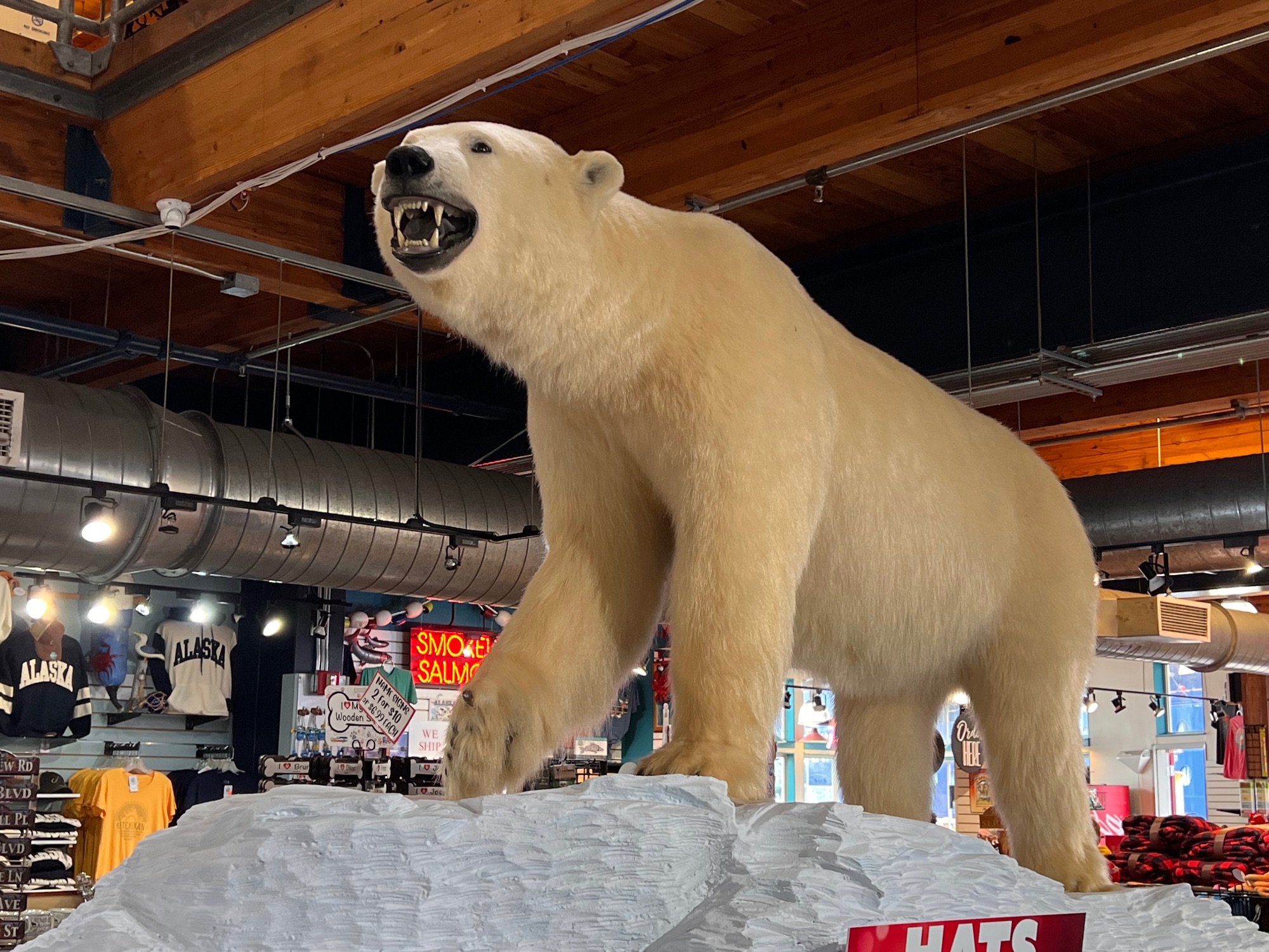 Large taxidermied polar bear display in indoor visitor center with open mouth