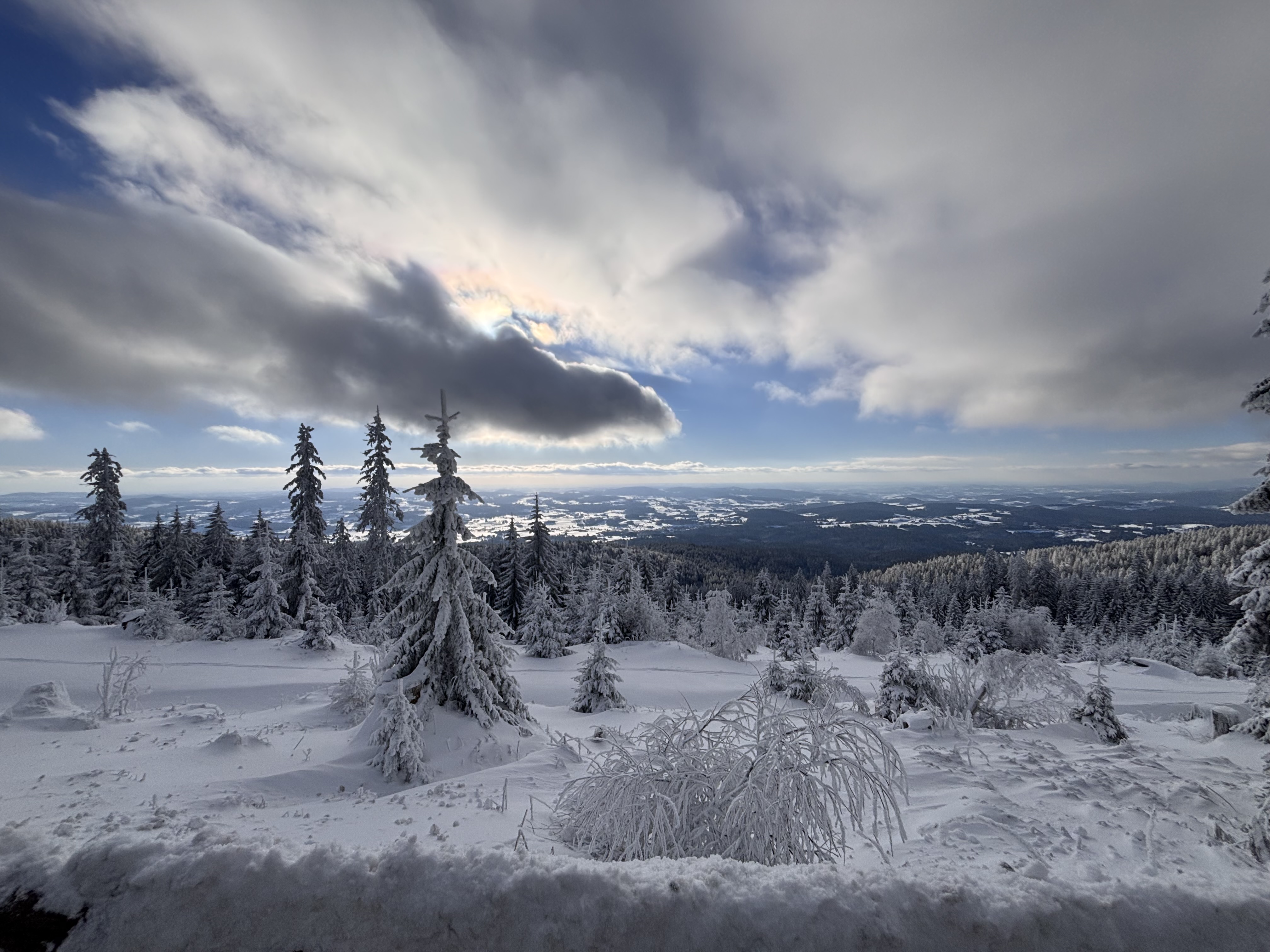 Group of hikers on a snowy mountain trail with forested slopes in background