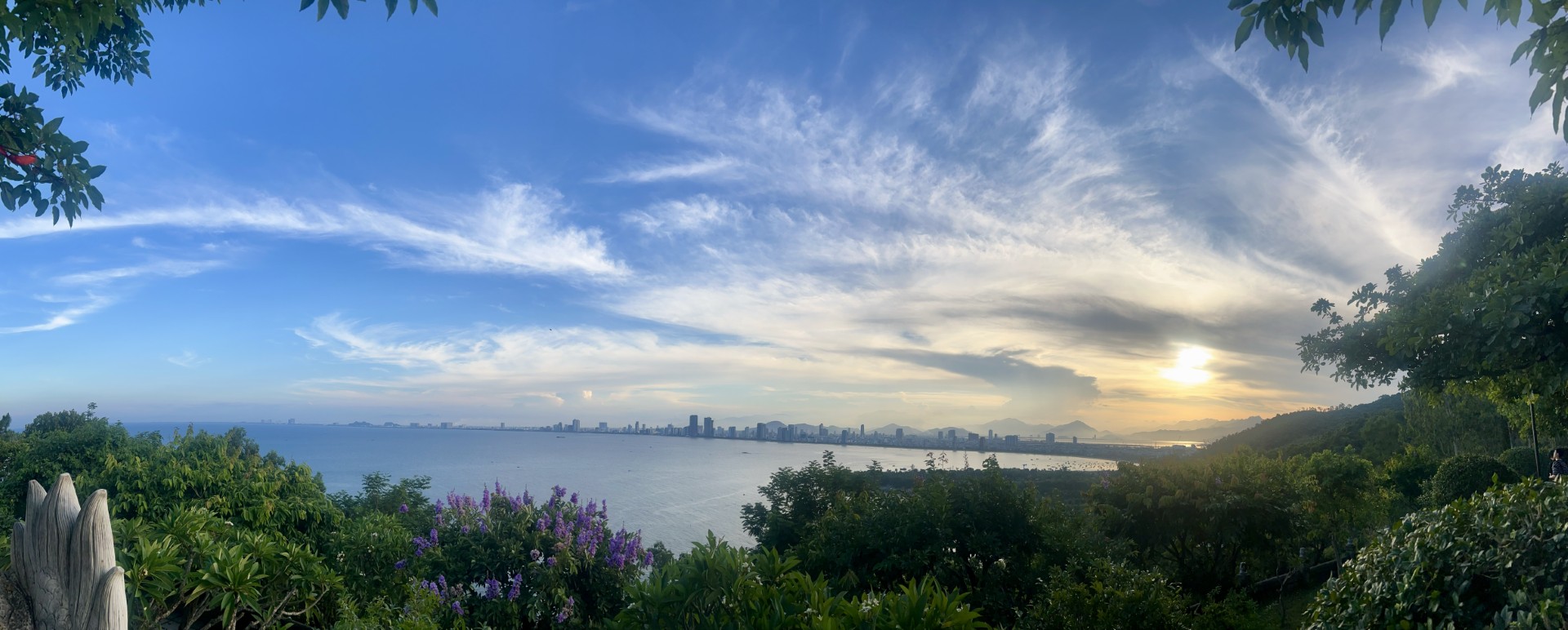 Panoramic coastal view of Da Nang with purple flowers, lush vegetation, and city skyline across the bay