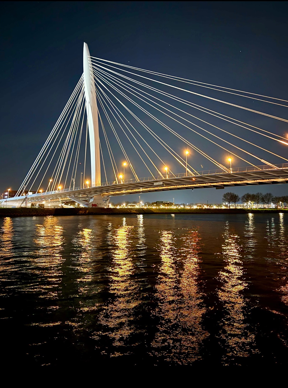 Illuminated white cable-stayed bridge spanning dark water at dusk in Netherlands