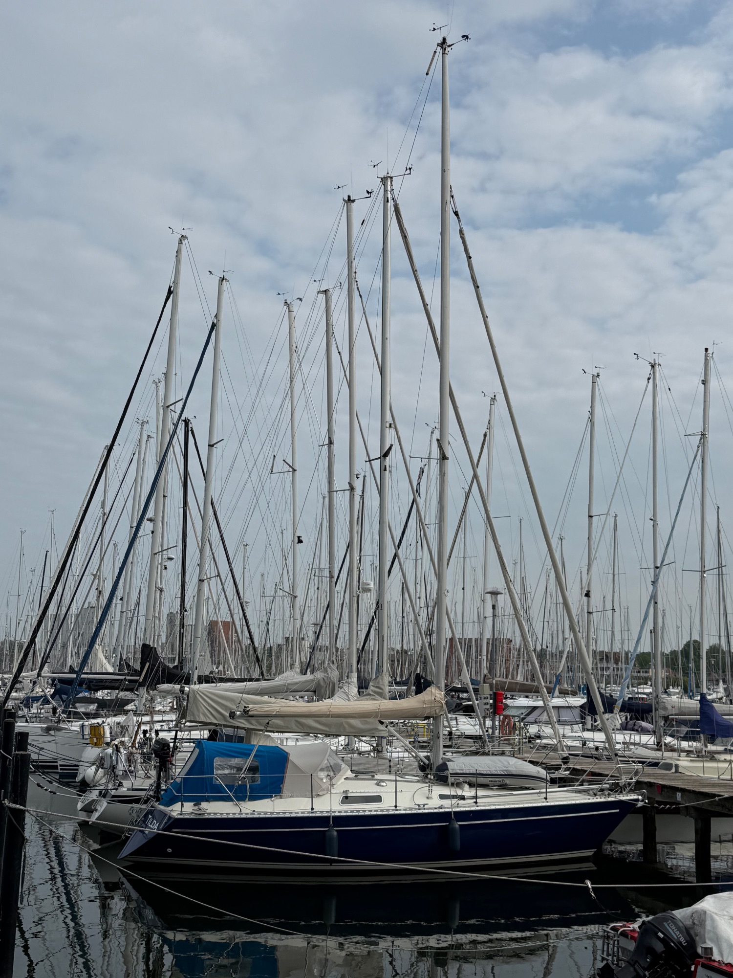 Dense marina filled with sailboats of varying sizes, their tall masts creating a forest of white poles