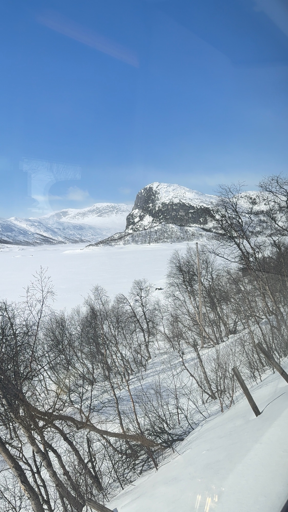 Snow-covered frozen lake surrounded by bare trees and snow-laden mountains under clear blue sky in Norwegian winter landscape