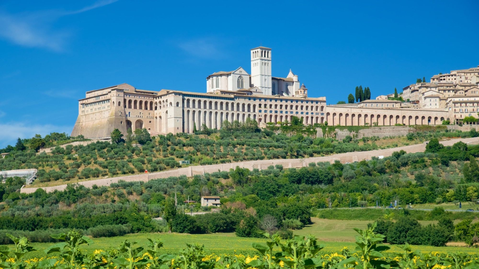 Italy — Aaron Devine's travel story