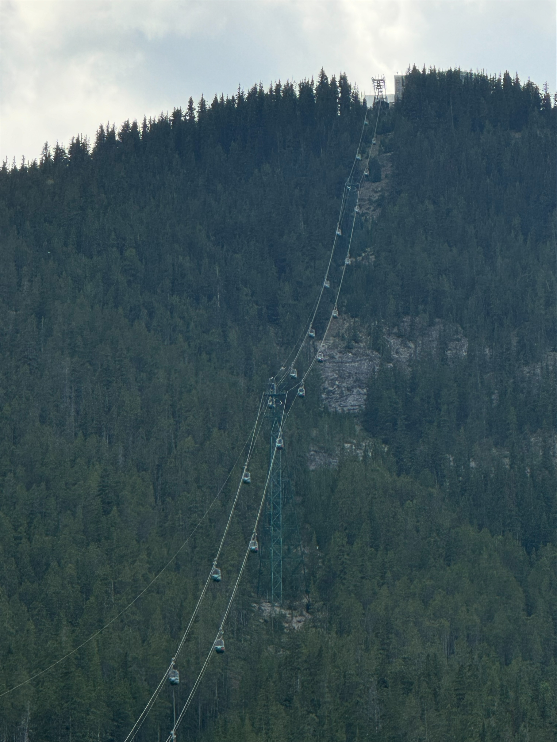 Mountain valley view with glacier, snow-covered peaks, and forested slopes under hazy sky