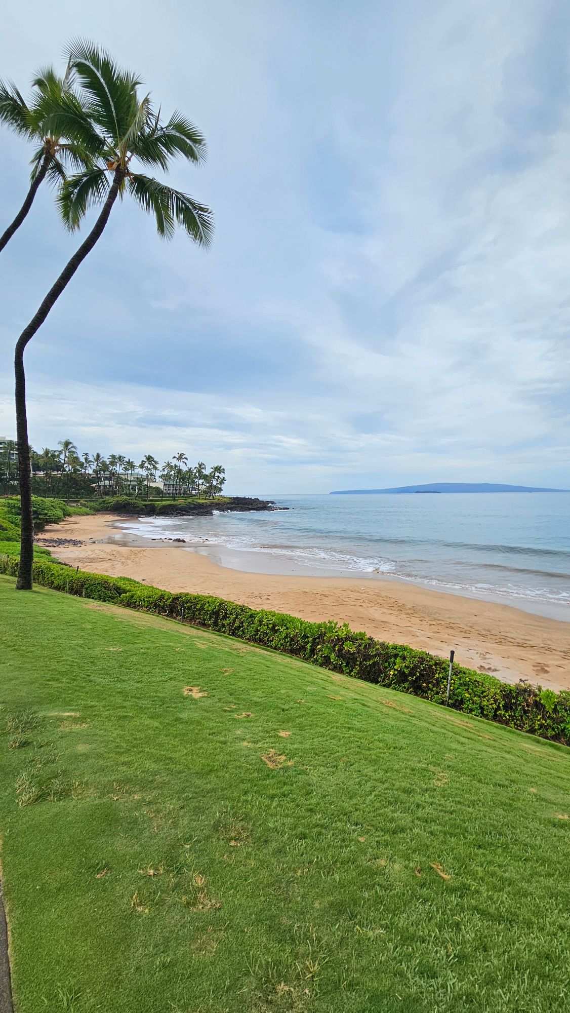 Manicured green lawn sloping to sandy beach with single palm tree and distant island across the water