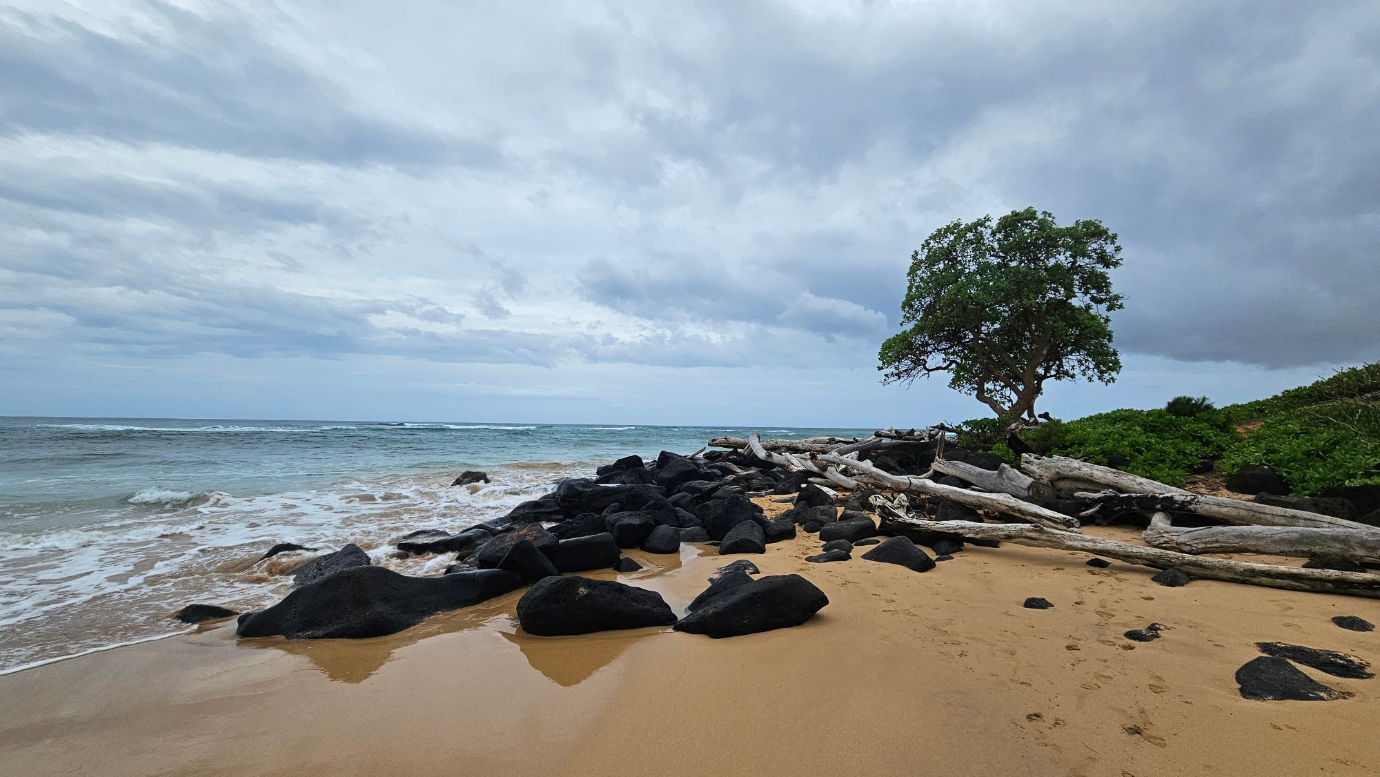 Rocky black lava formations and driftwood on sandy beach with ocean waves and cloudy sky