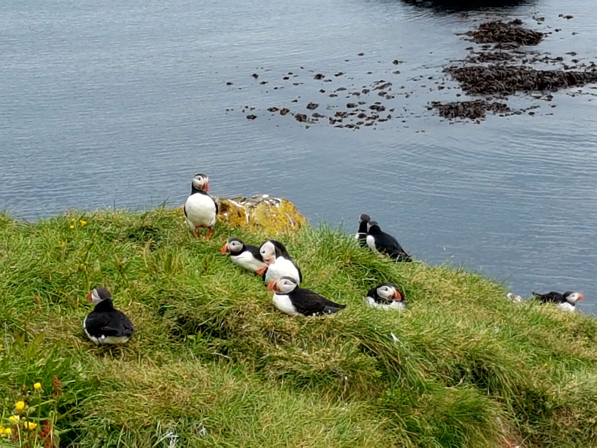 Iceland — Courtney Morin's travel story