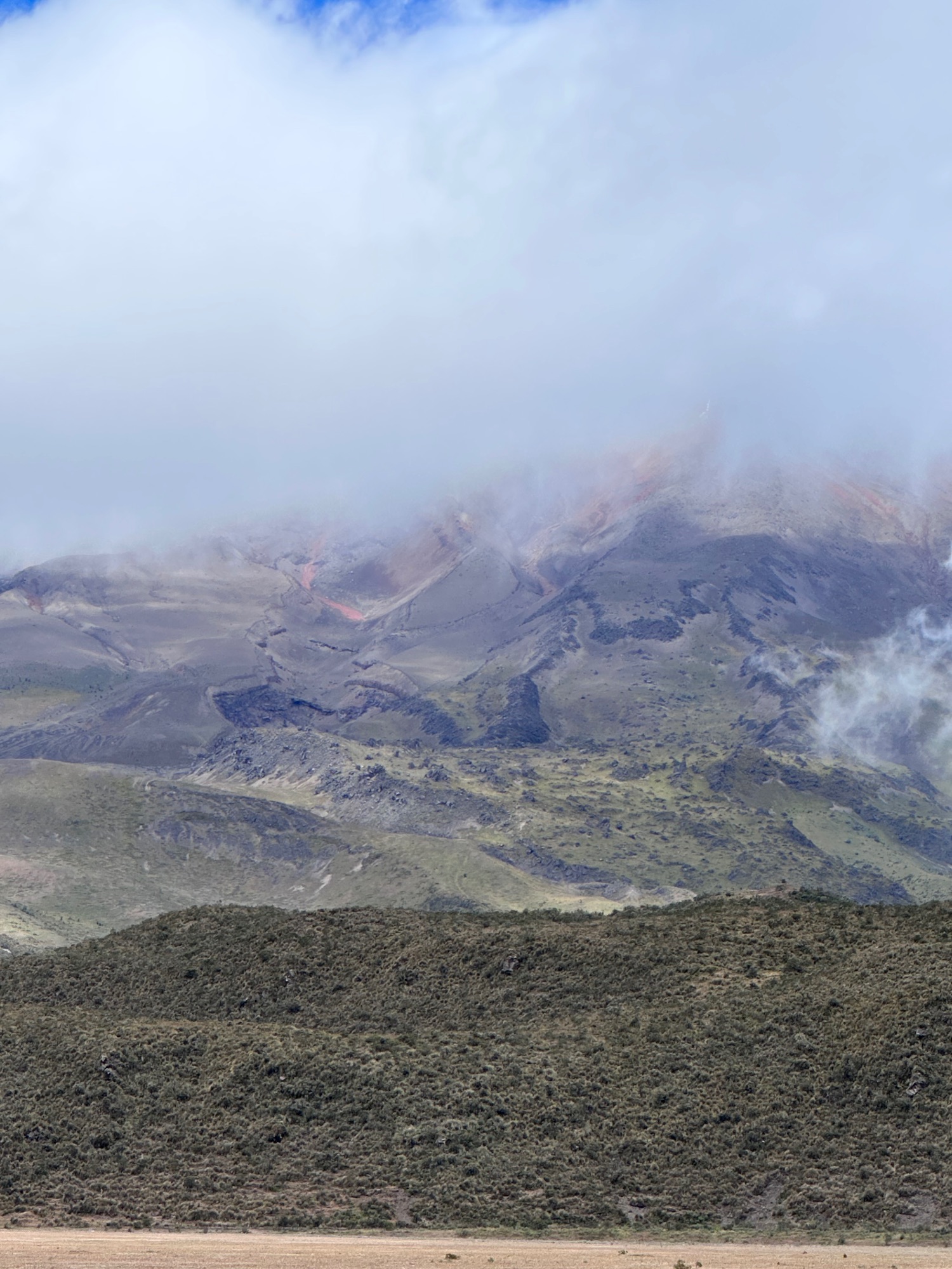 Volcanic crater landscape shrouded in mist with sparse vegetation covering dark volcanic terrain