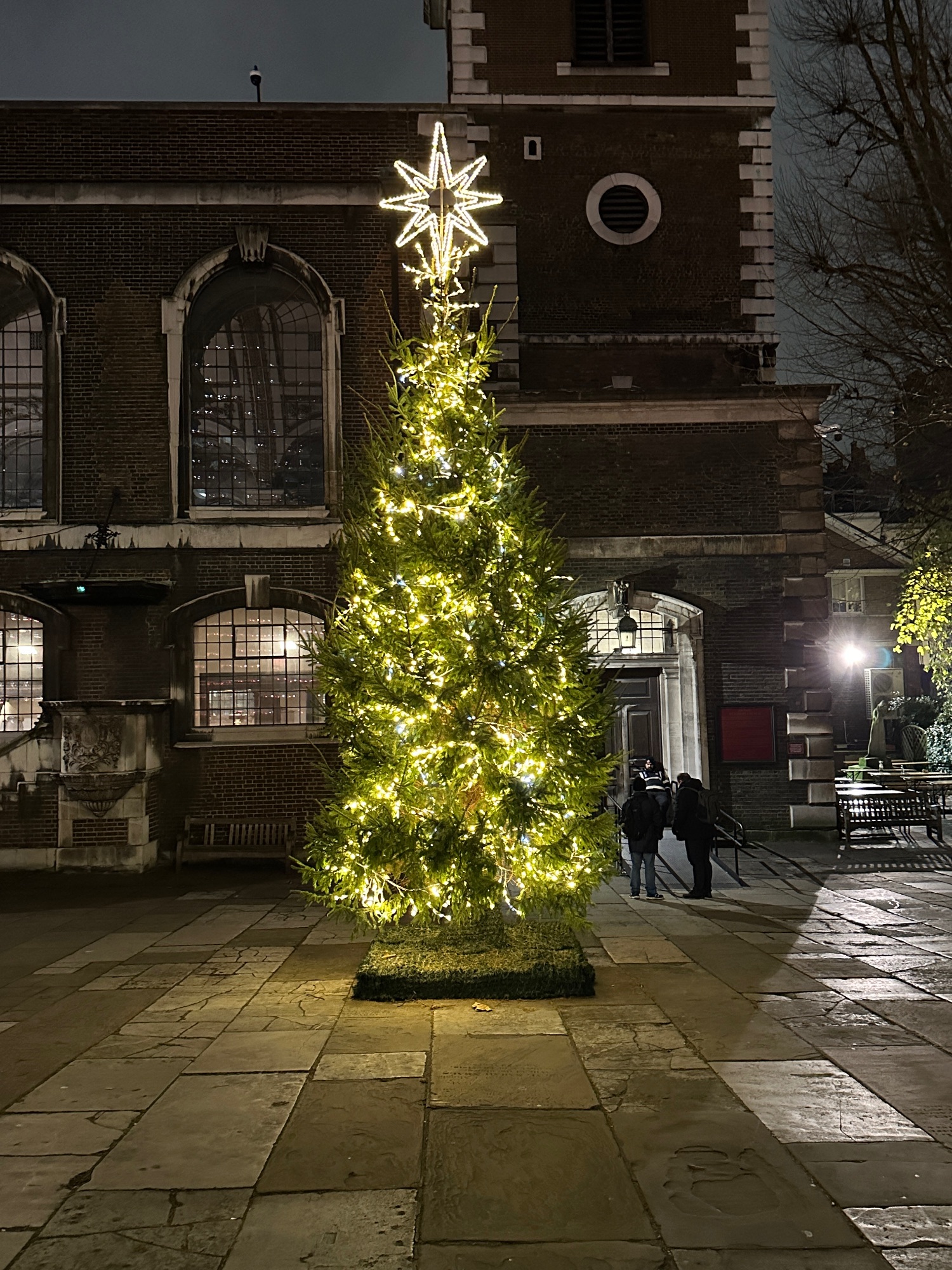Illuminated Christmas tree with warm white lights and a golden star topper in a brick courtyard at night, with historic buildings in the background