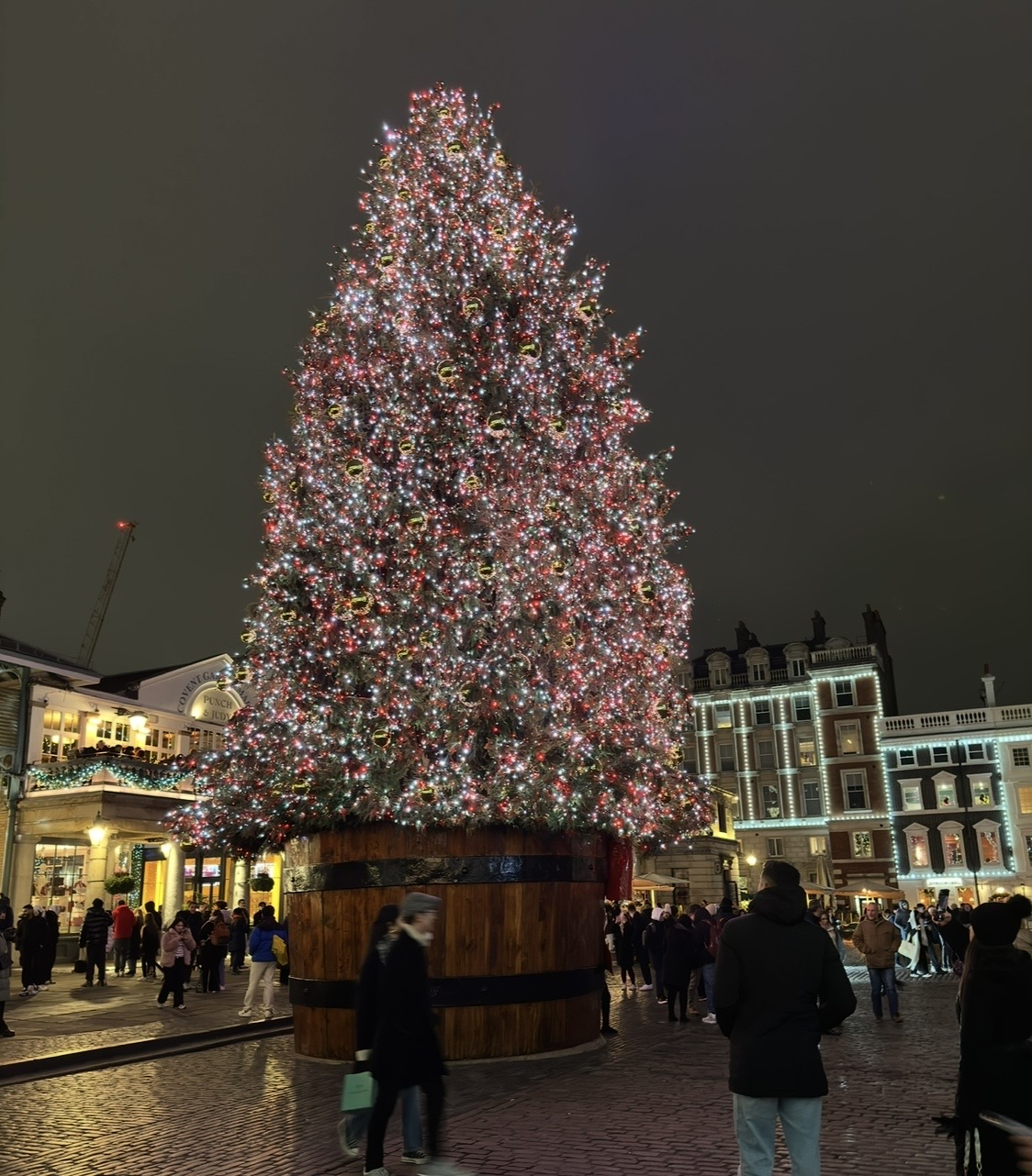 Tall Christmas tree densely covered with thousands of multicolored twinkling lights and gold ribbon spirals in a town square at night