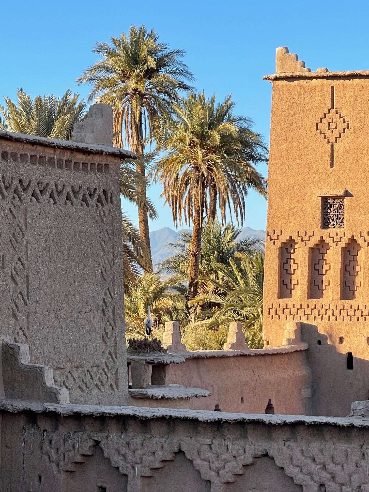 Historic kasbah with earthen towers and palm trees along a river in Morocco's Atlas region