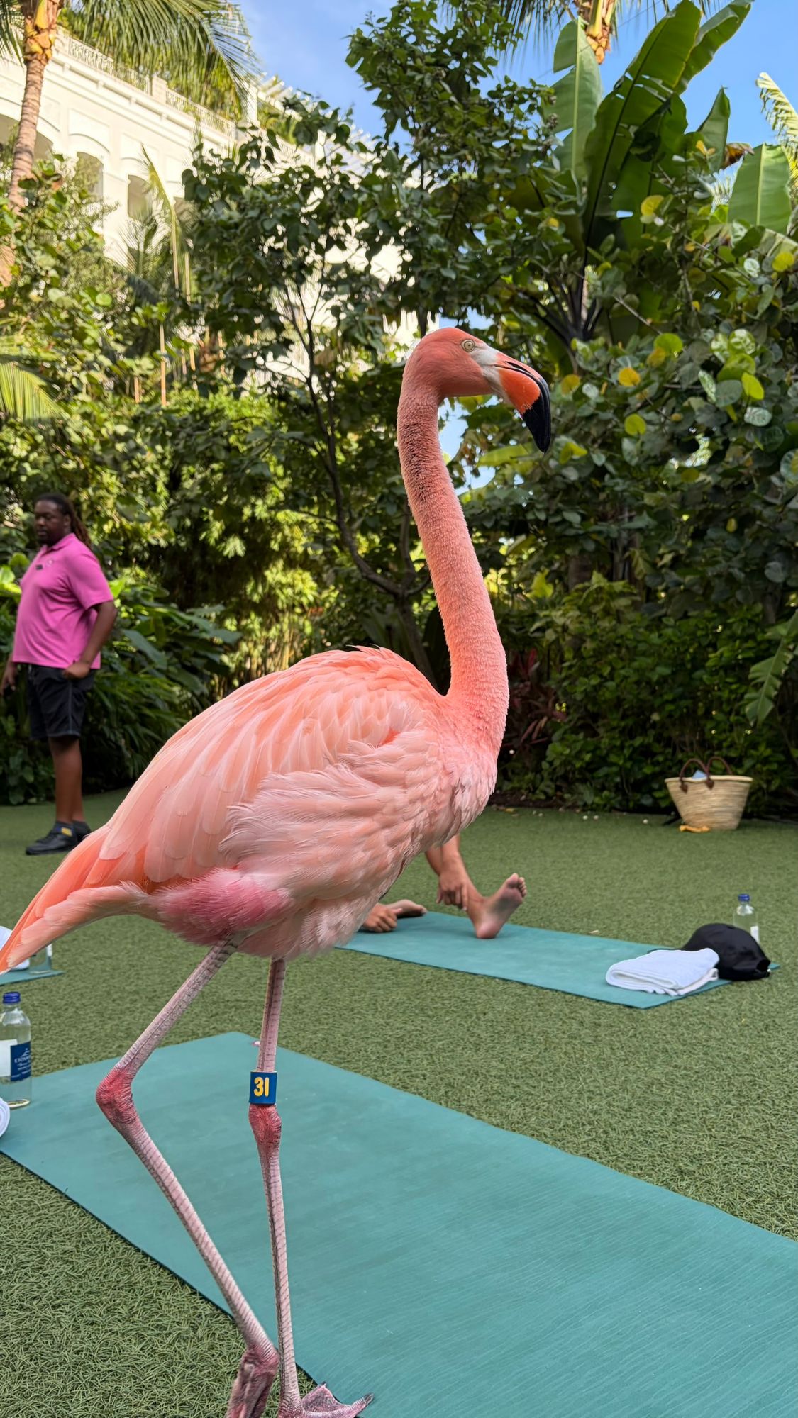Bahamas — David Petlin's travel story