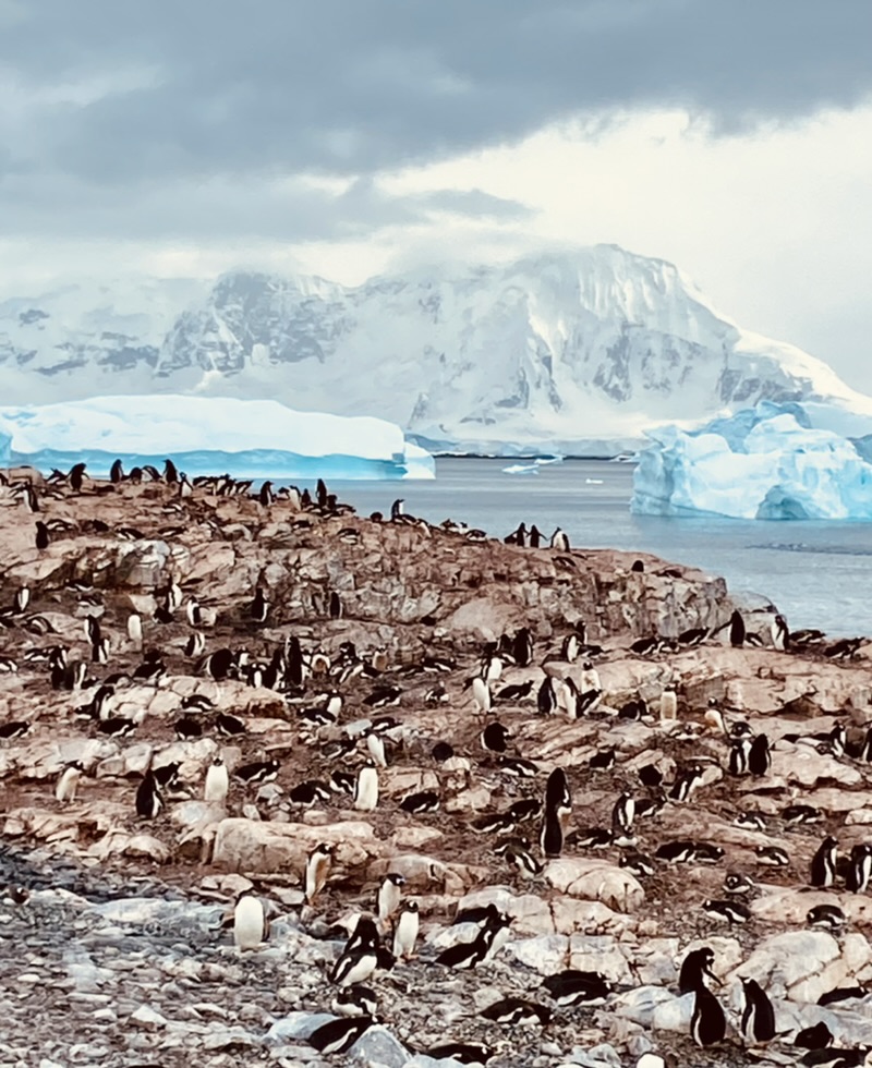 Antarctica