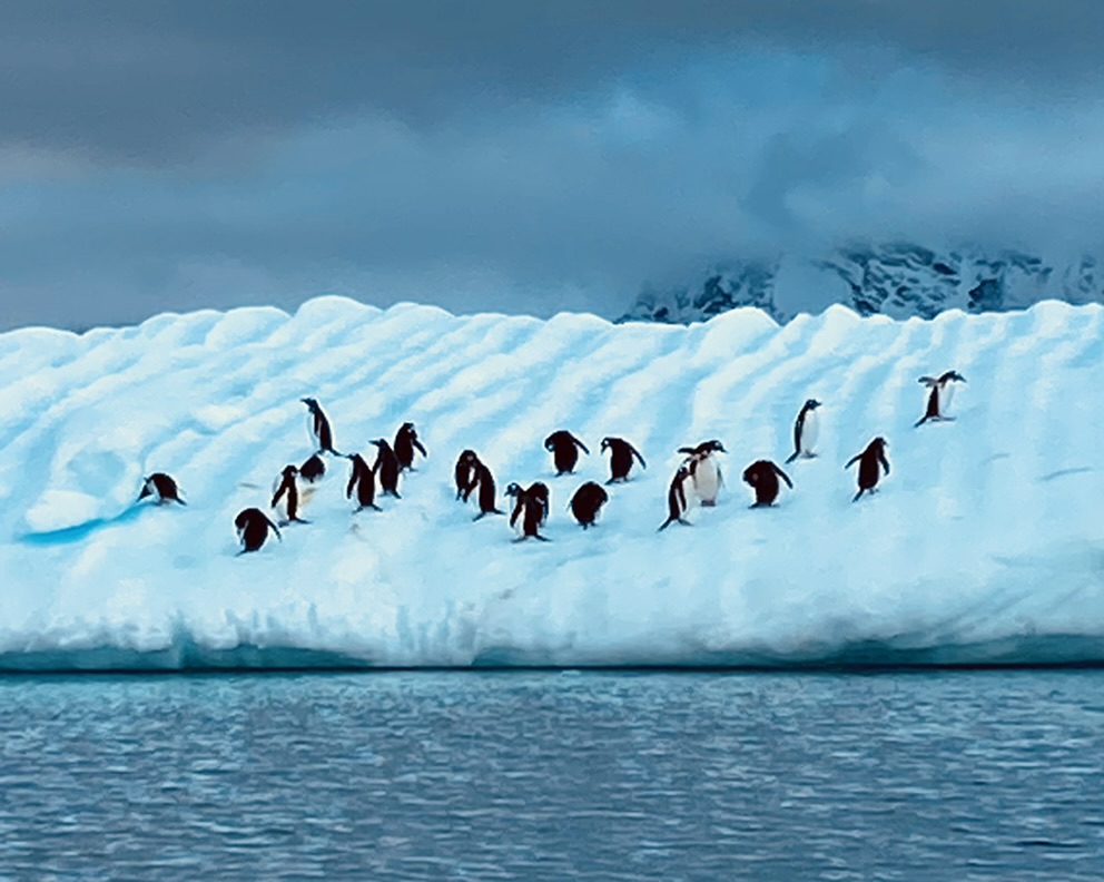 Antarctica — Lisa Metzger's travel story