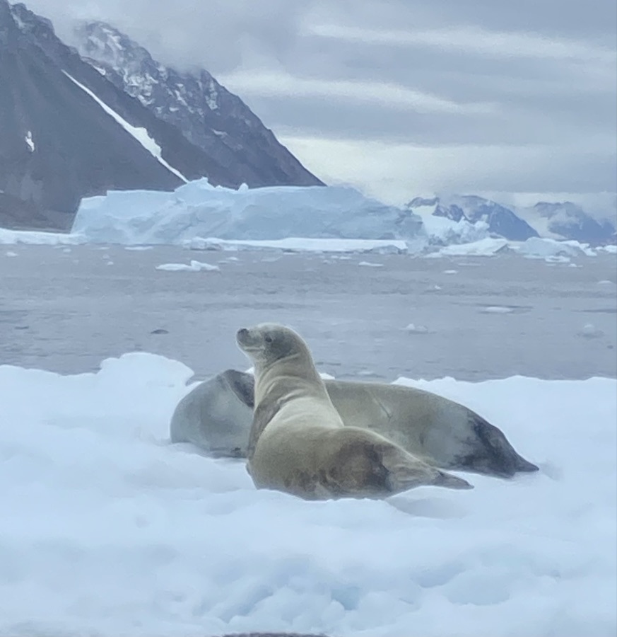 Antarctica — Lisa Metzger's travel story