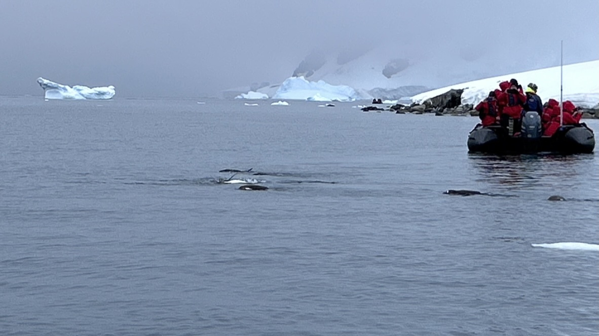 Antarctica — Lisa Metzger's travel story