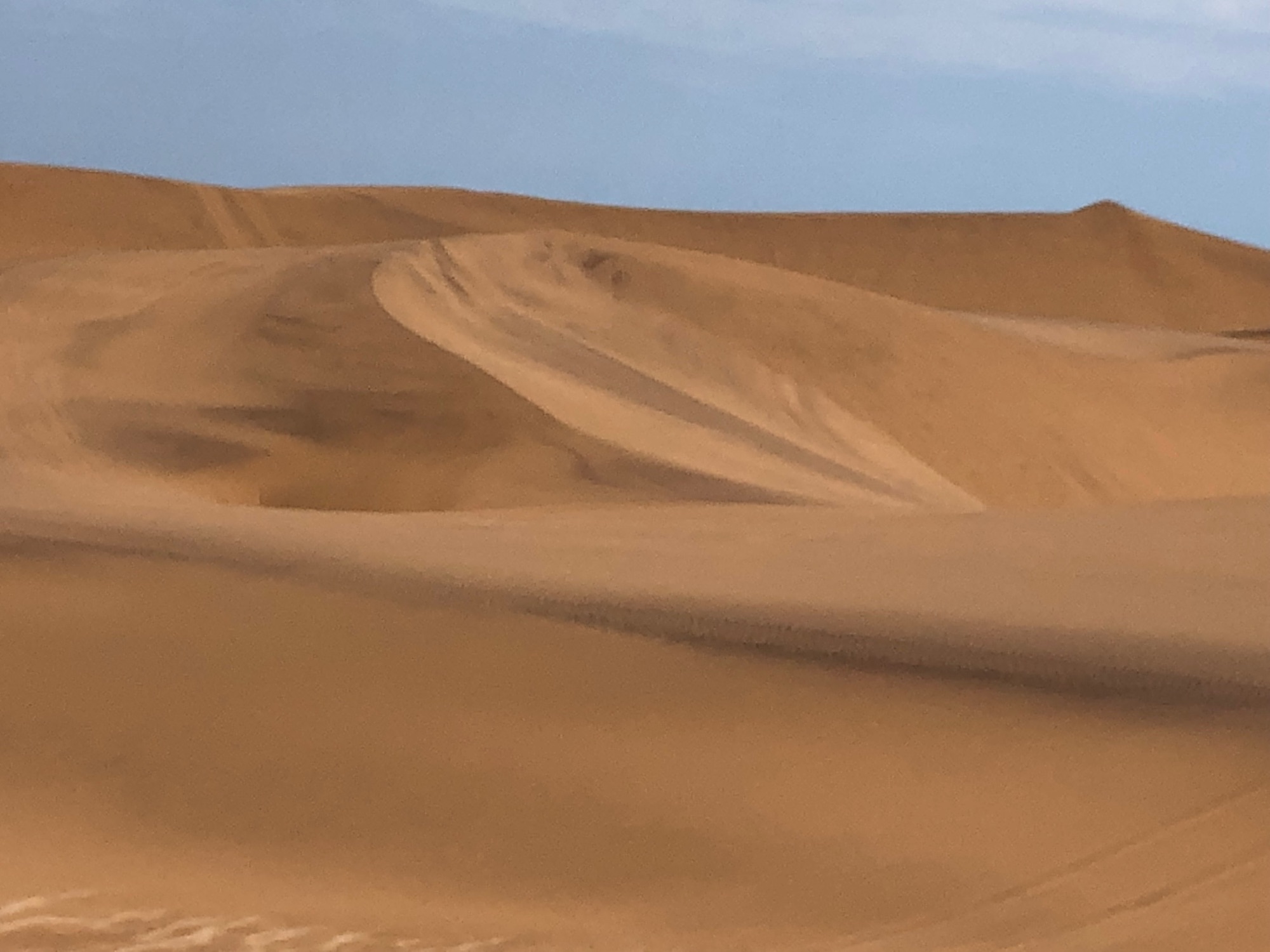 Rolling sand dunes of Namibia stretch across the landscape under a clear blue sky
