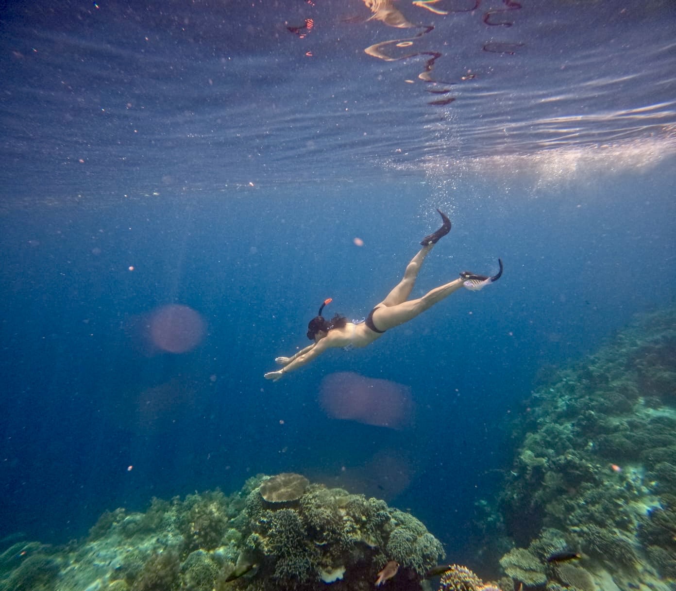 Snorkeler in turquoise water above coral reef with fish and marine life visible below the surface