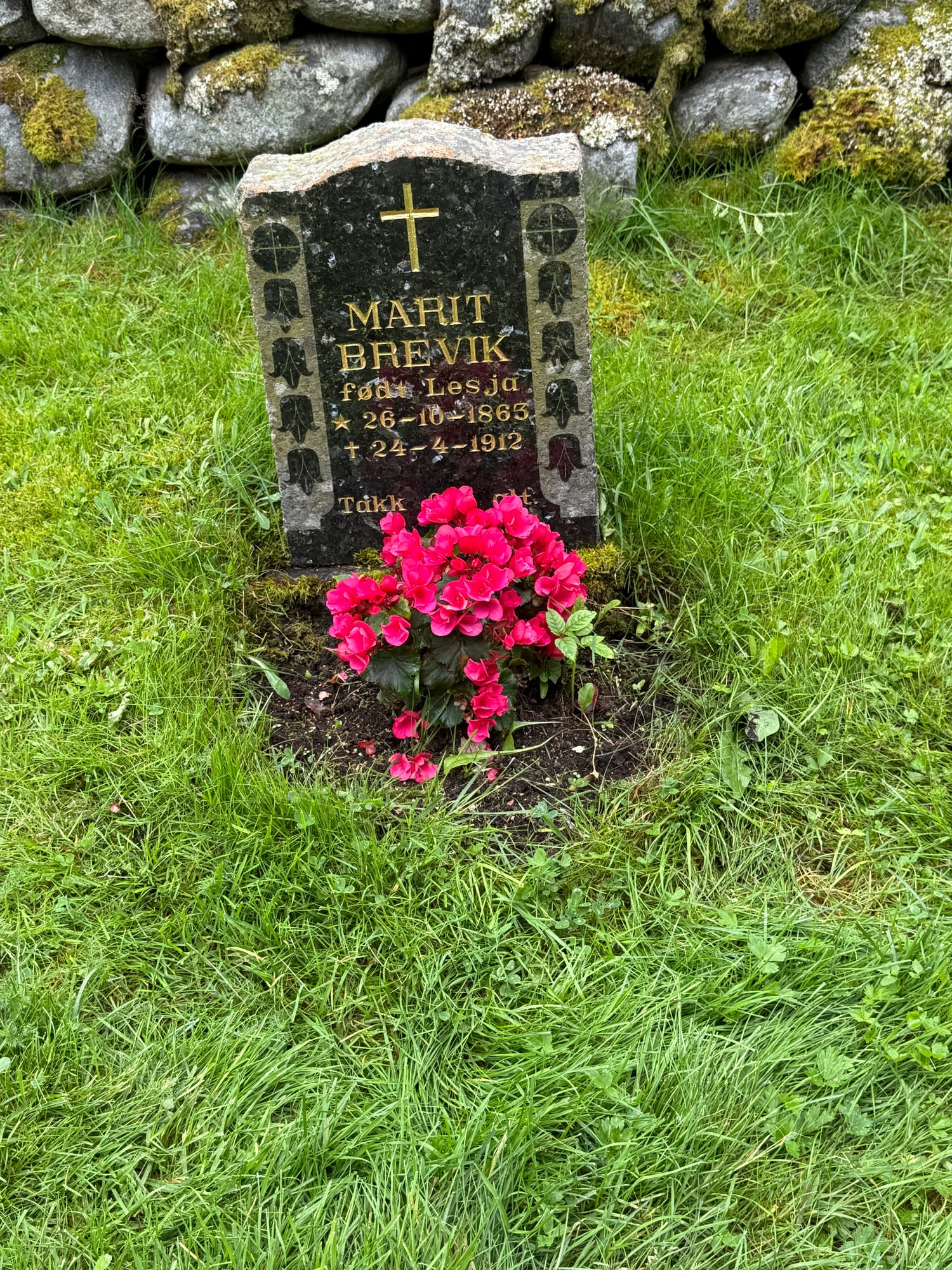 A cruise ship anchors in a deep green fjord surrounded by steep forested mountains and a small village