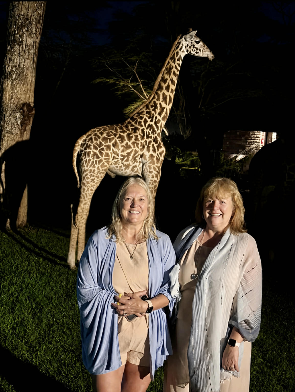 Two women posing for photo with giraffe standing behind them at night