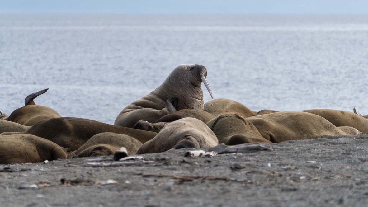 Norway — Shari Lukens's travel story