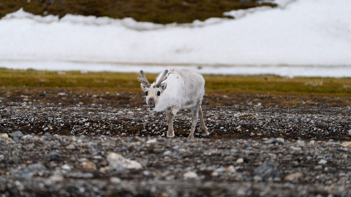 Norway — Shari Lukens's travel story