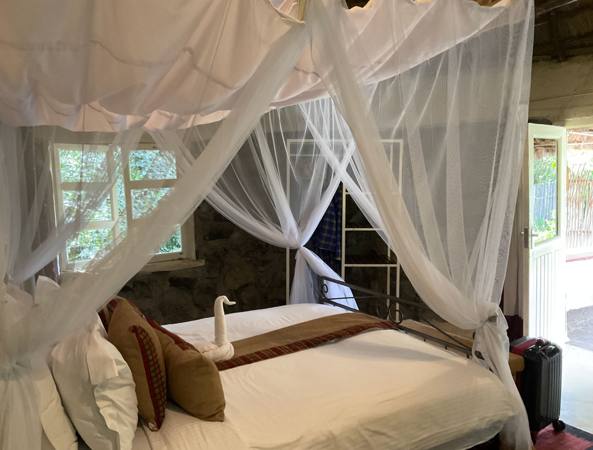 Canopied bed with white mosquito netting and decorative pillows in safari lodge bedroom