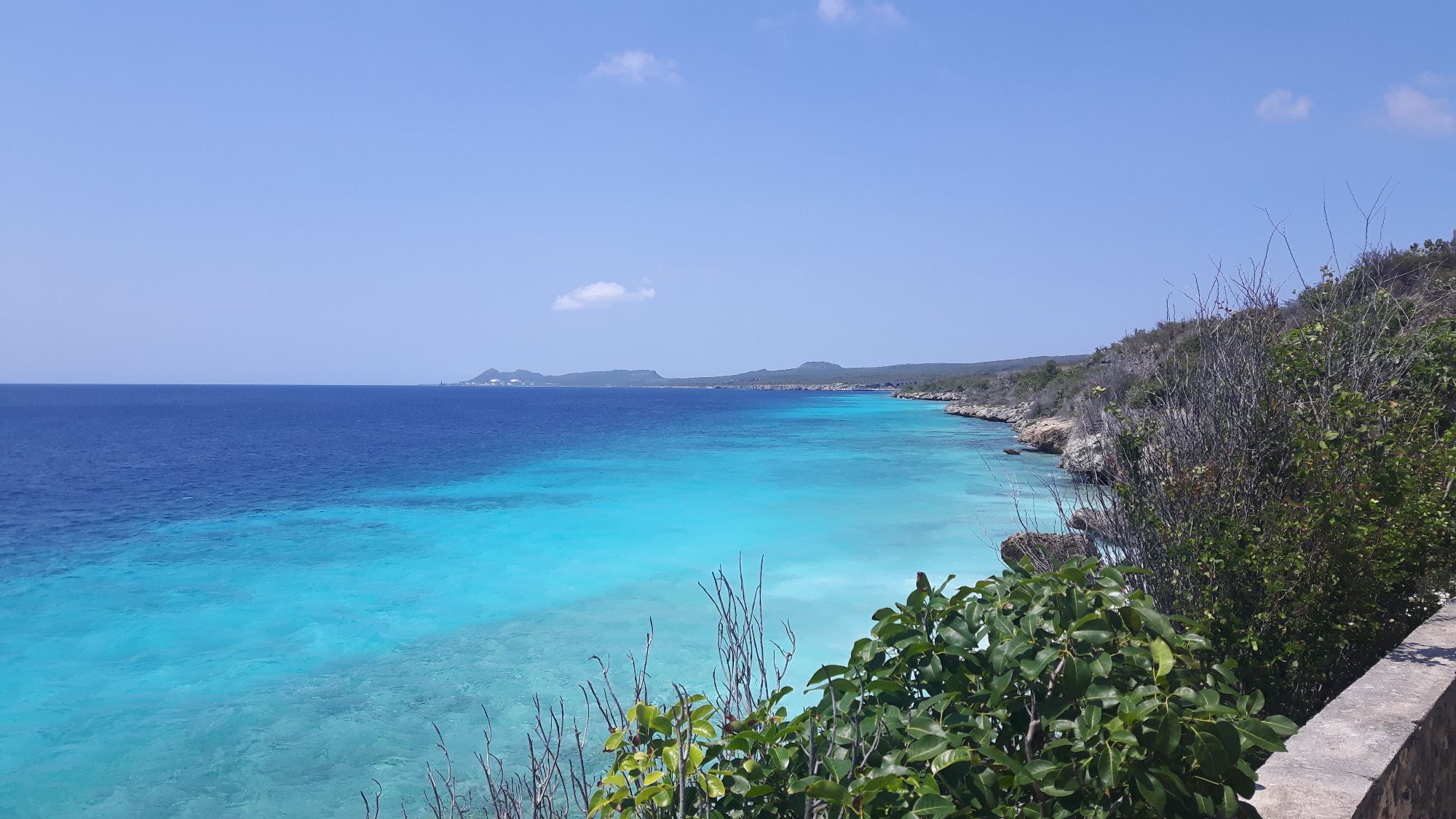 Turquoise Caribbean waters meeting rocky coastline with vegetation under clear blue sky in Bonaire