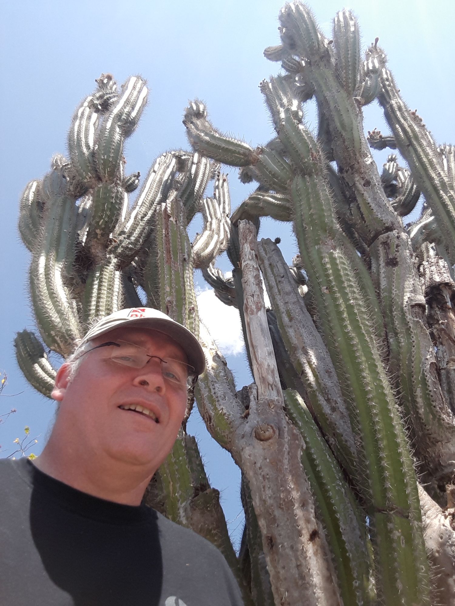 Dean Watt posing beneath tall columnar cacti against bright blue sky