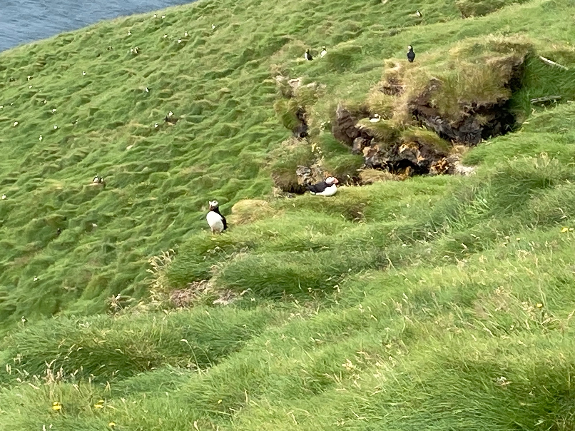 Iceland — Martina Mizzi's travel story