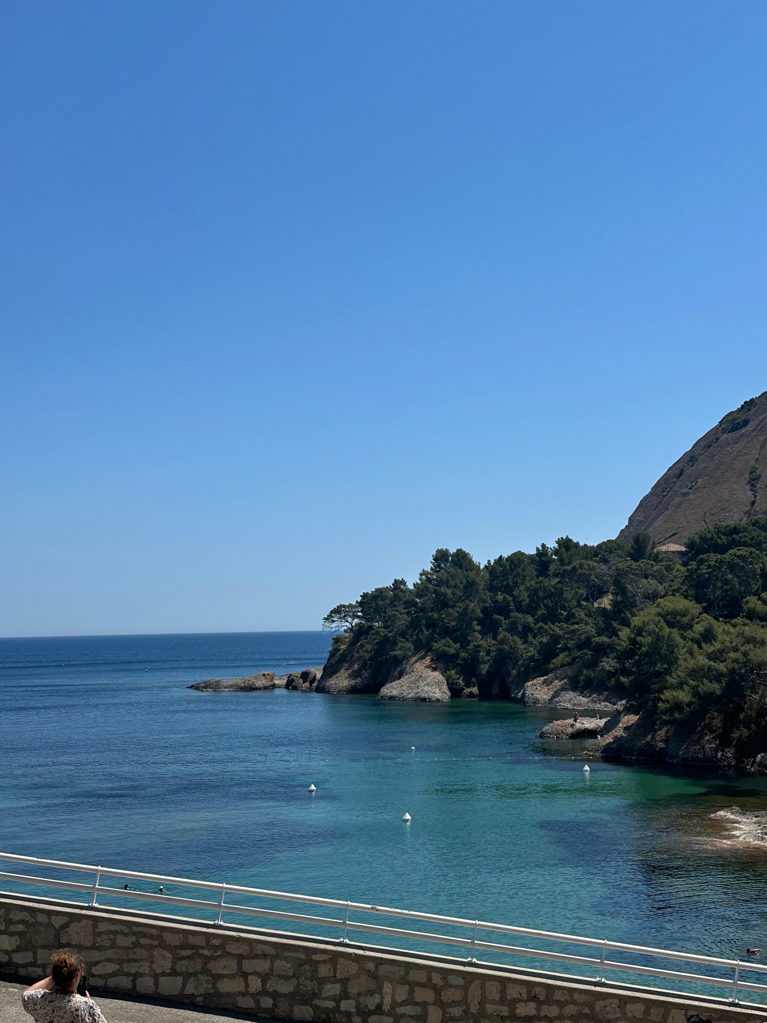 Turquoise Mediterranean cove with rocky shoreline, dense green vegetation, and calm water from a seaside viewpoint