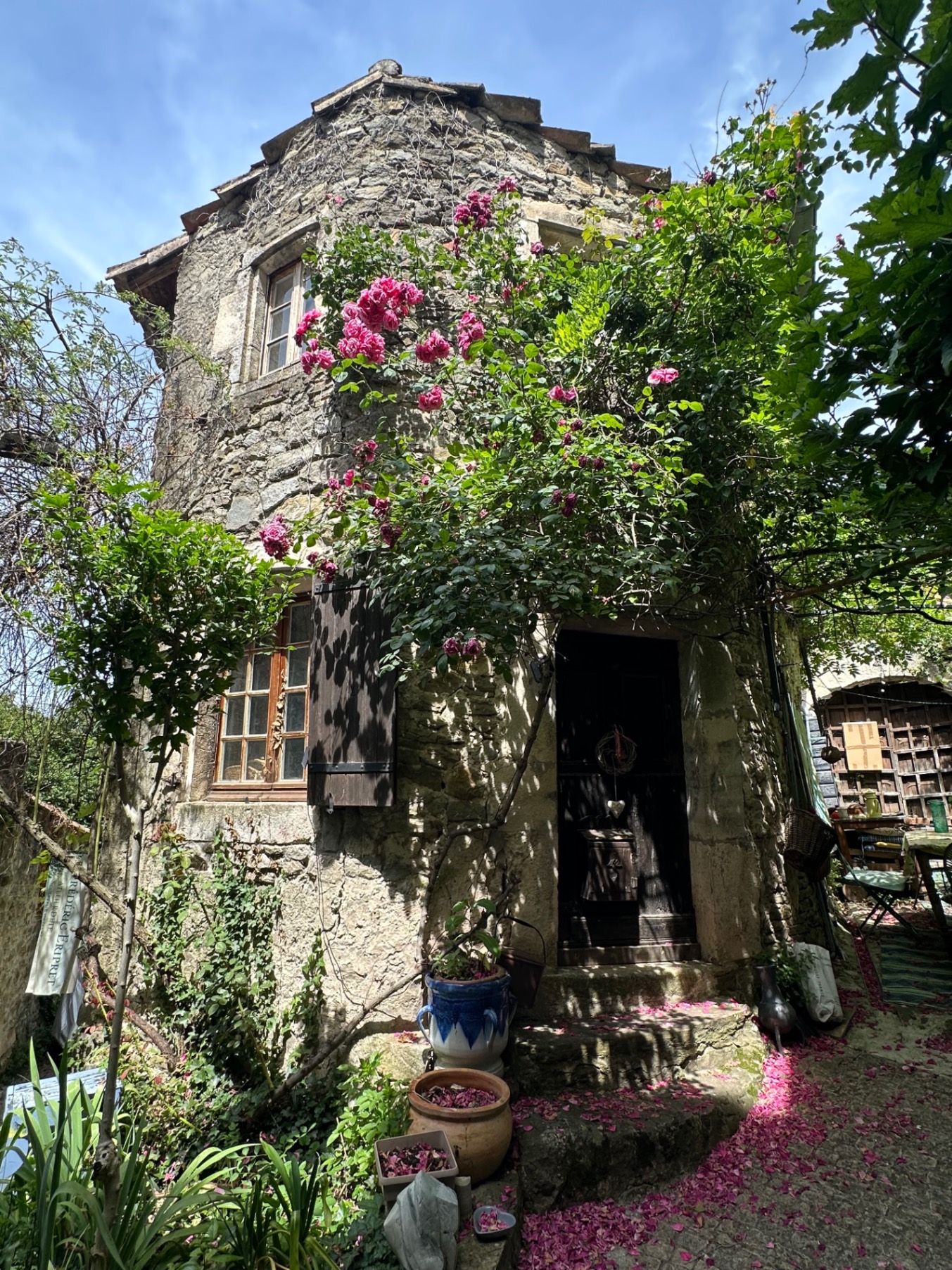 Weathered stone cottage with pink climbing roses, ivy-covered walls, and a dark doorway in a garden setting