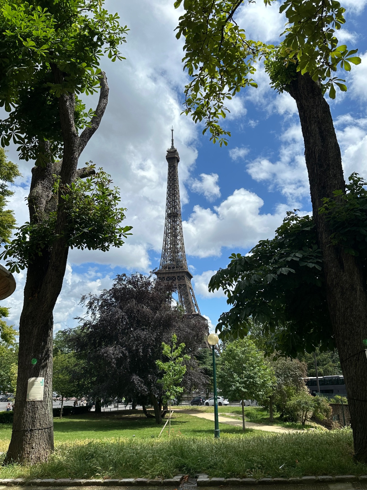 Eiffel Tower framed between two large tree trunks in a Paris park on a cloudy day