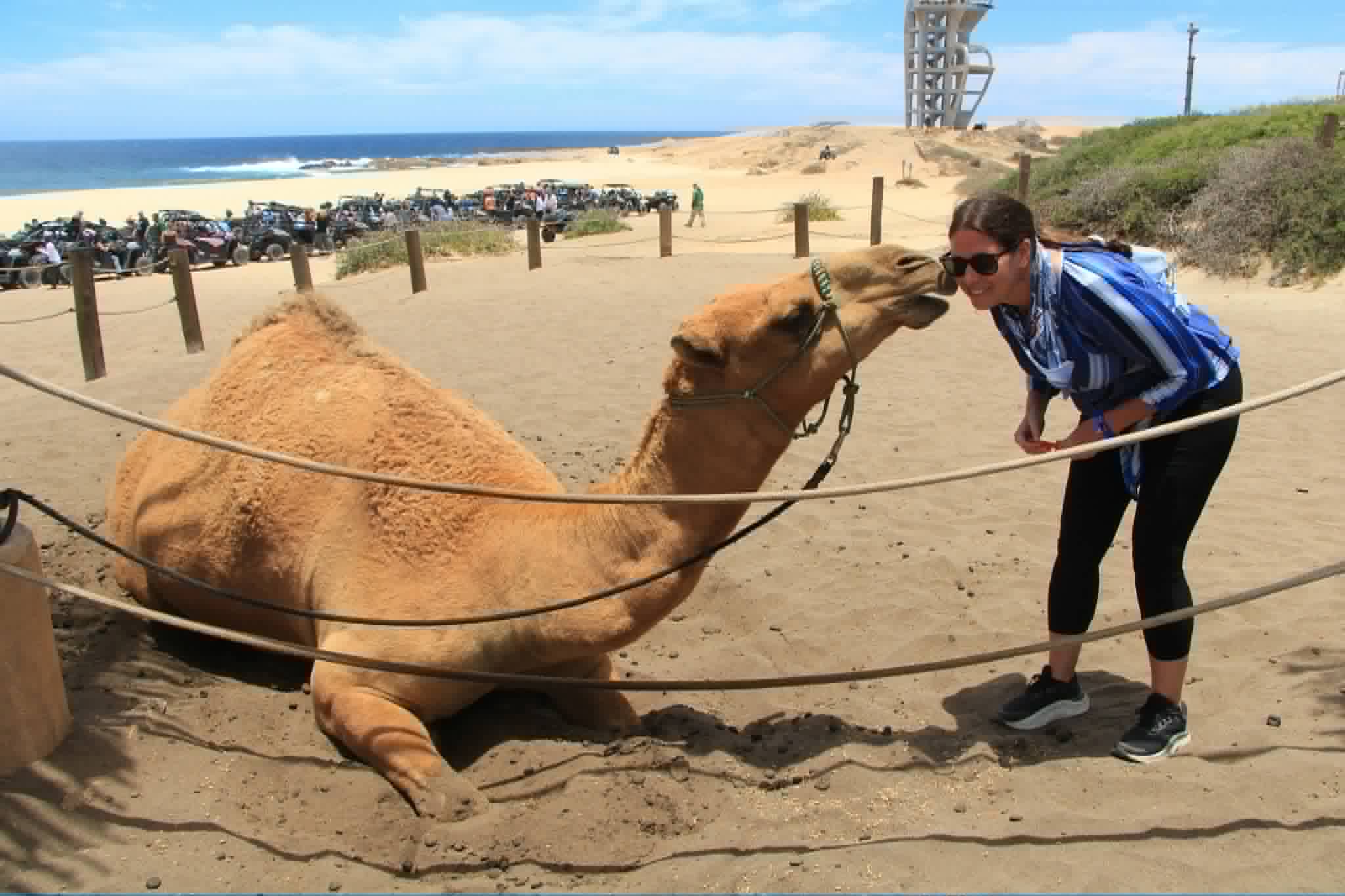 A woman feeds a camel on a beach with a large crowd of ATVs and riders visible in the distance